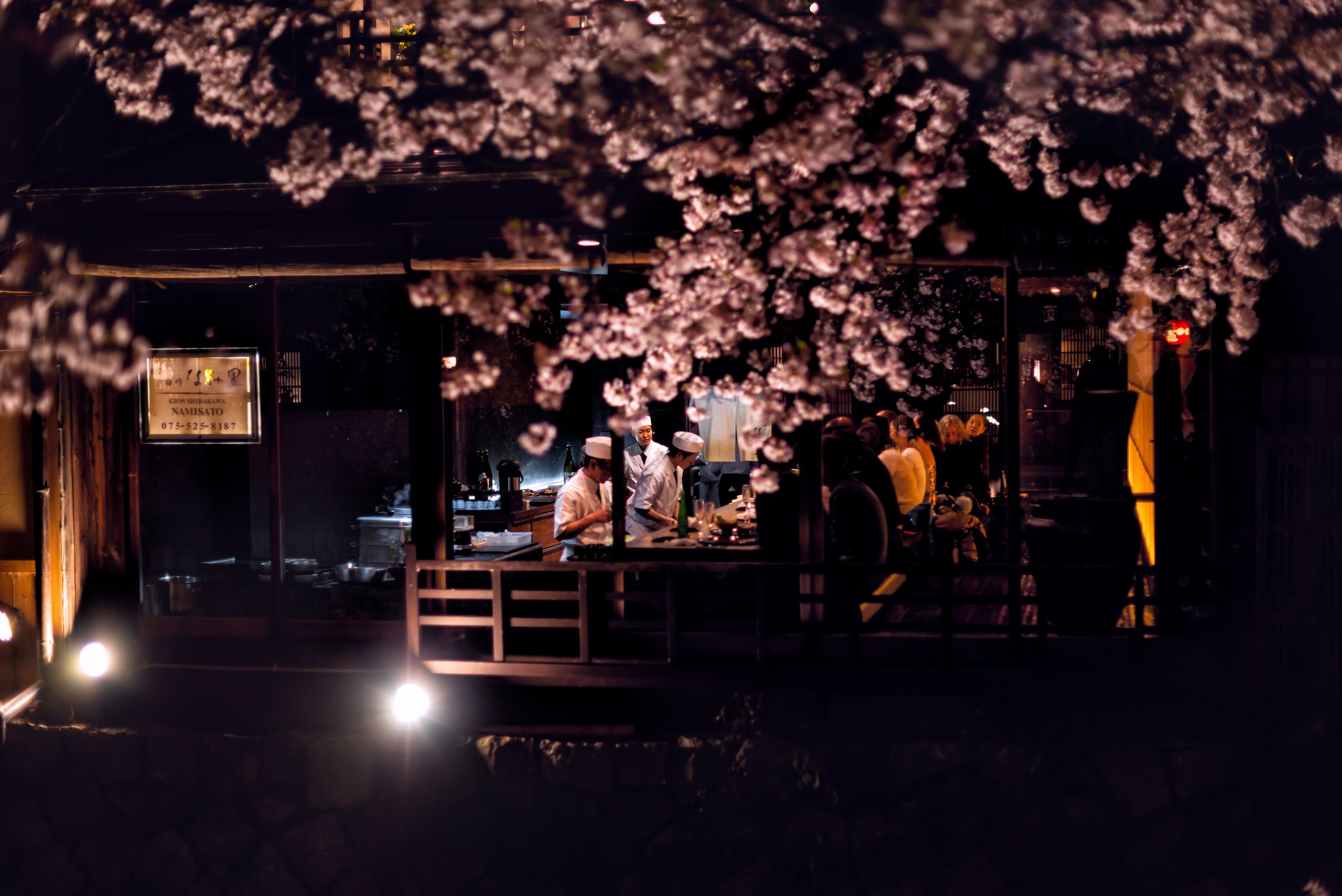 Chefs in white cooking at an open-air counter beneath cherry blossom at night, Gion Shirakawa, Kyoto
