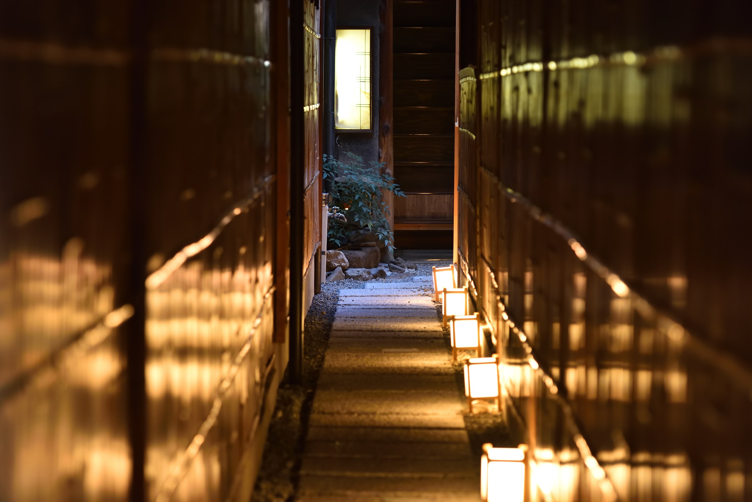 A narrow stone path between tall wooden fences, lined with small lit paper lanterns, leading to a lit window and a doorway