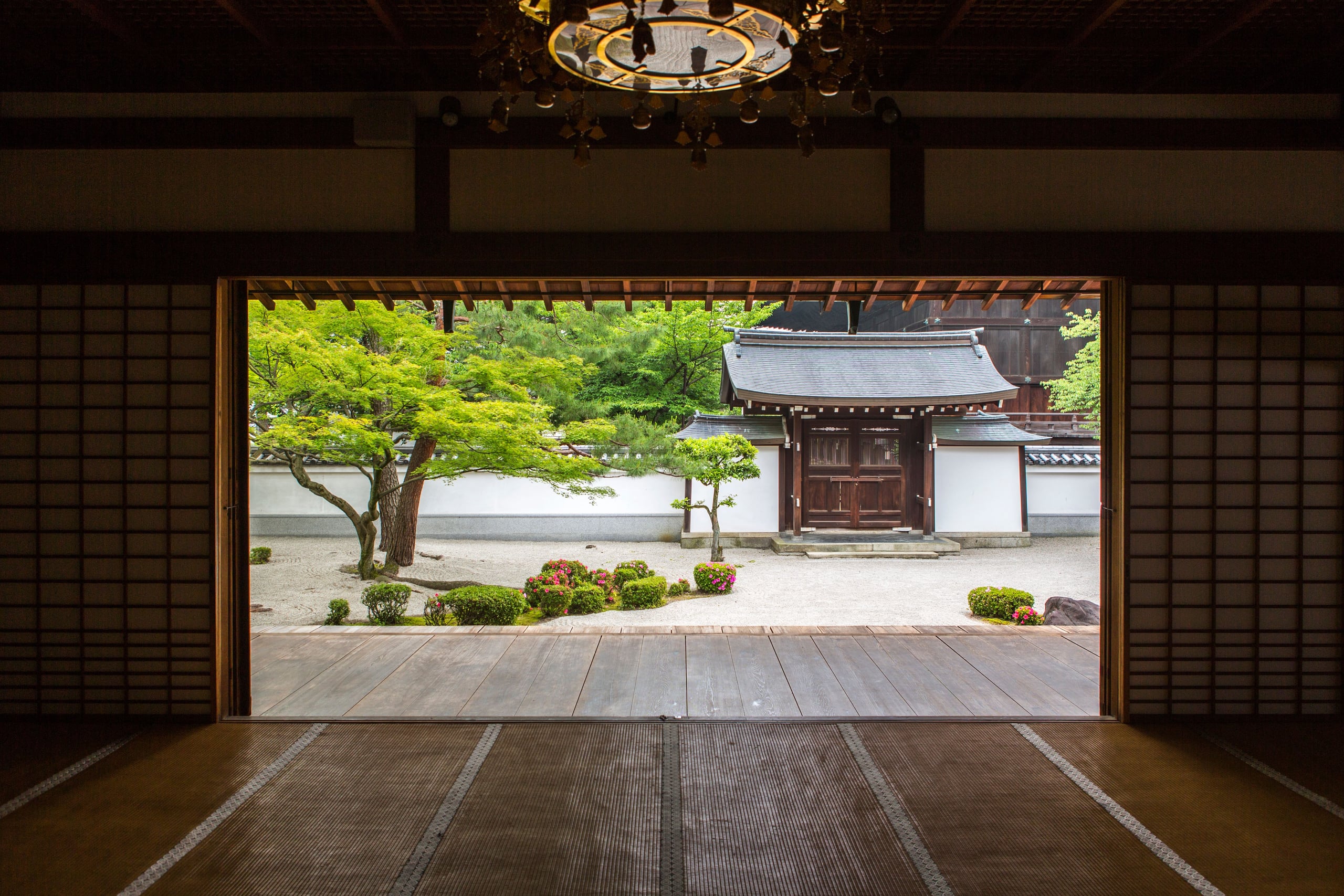 A dark tatami hall opening through its doors onto a temple garden and gate