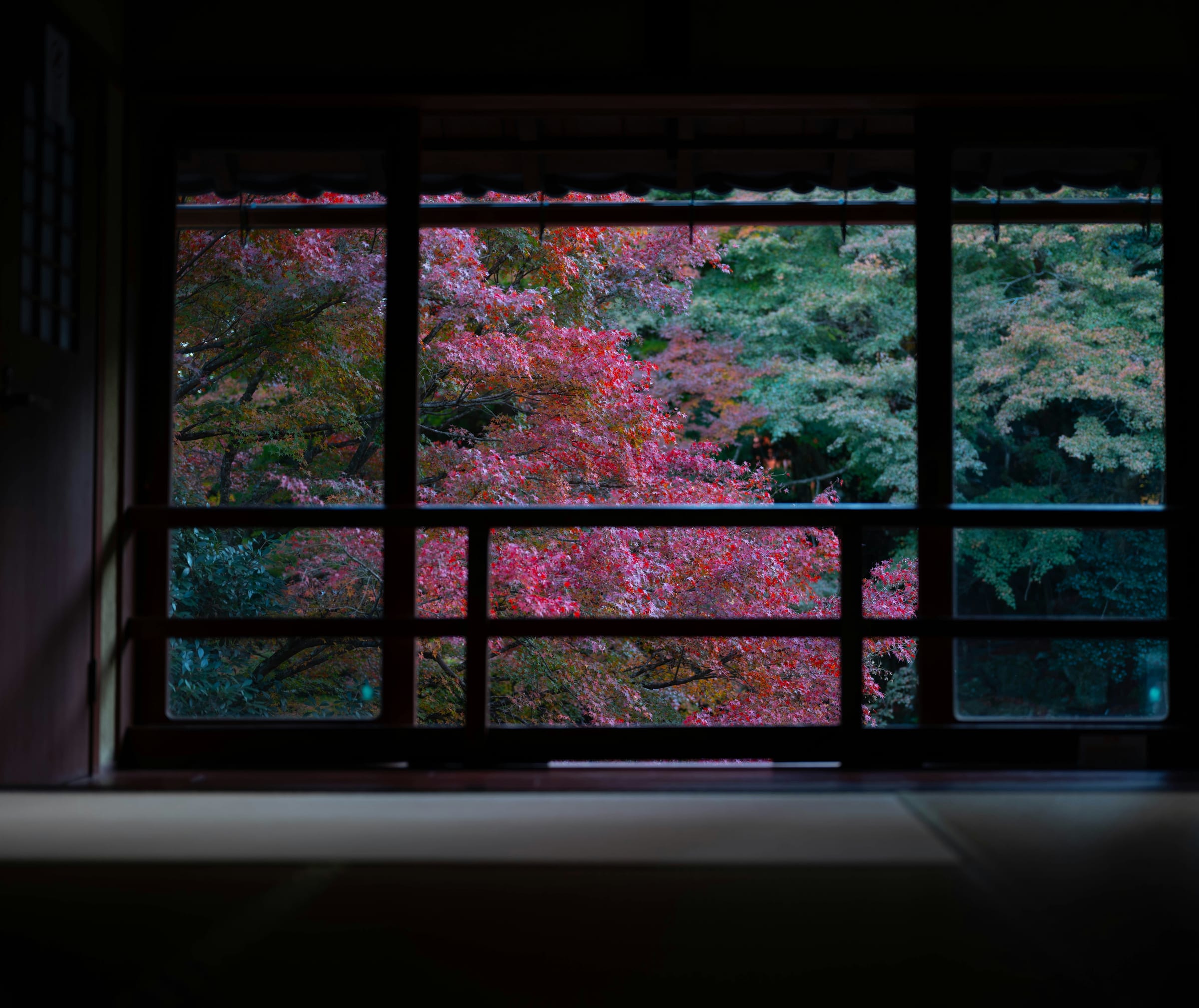 A darkened wooden hall in Arashiyama, Kyoto, its wide window filled with maples turning red in autumn