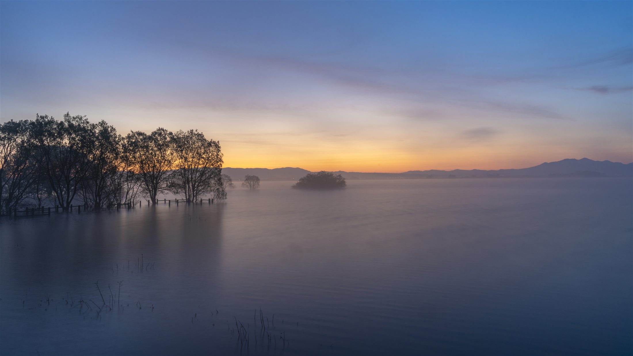Mist over a still lake at first light, silhouetted trees on the far shore