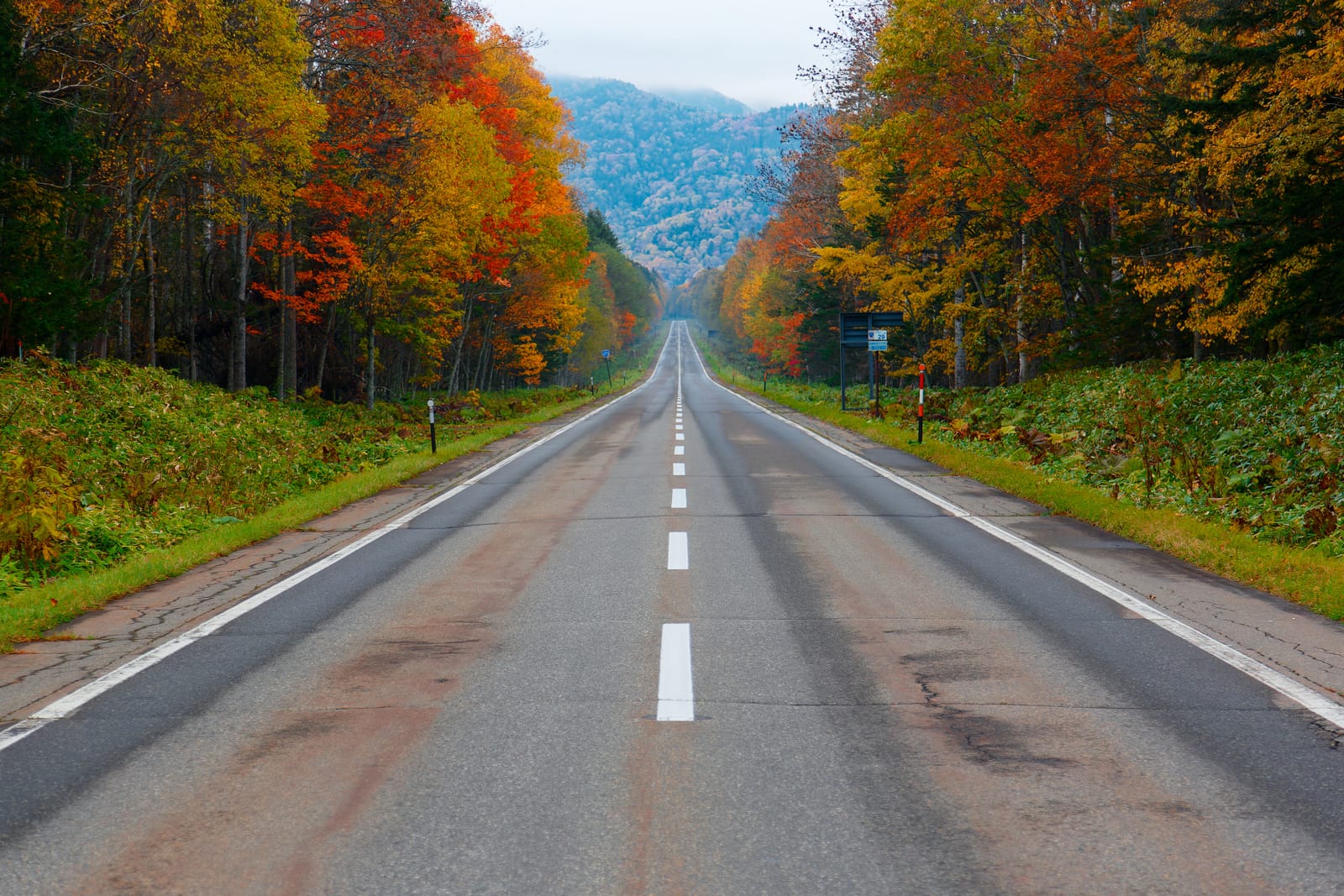 An empty straight rural road running toward misted mountains, lined with red, orange and green autumn trees