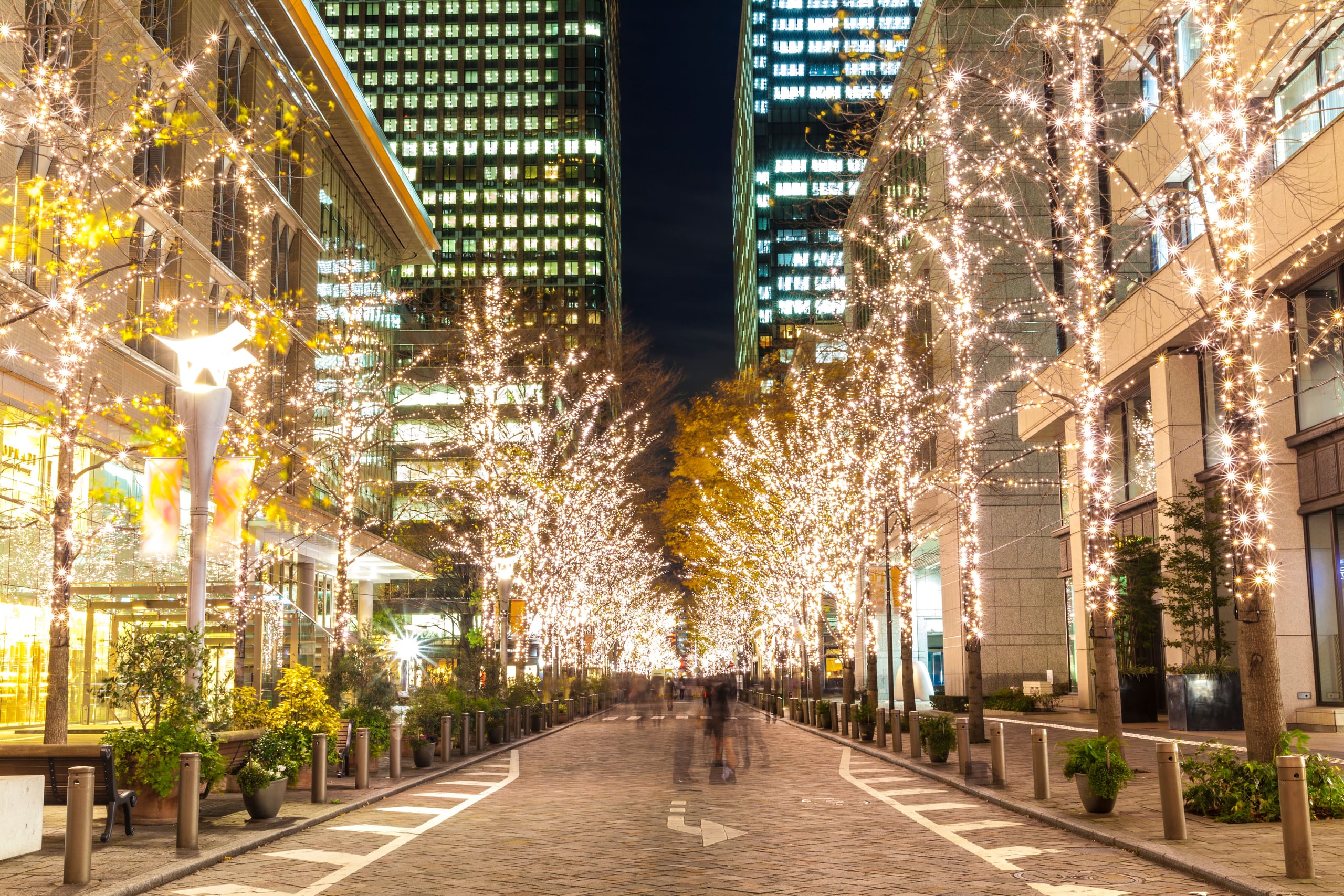 Bare trees wrapped in warm white lights along the pedestrian avenue of Marunouchi Naka-dori, Tokyo, in winter