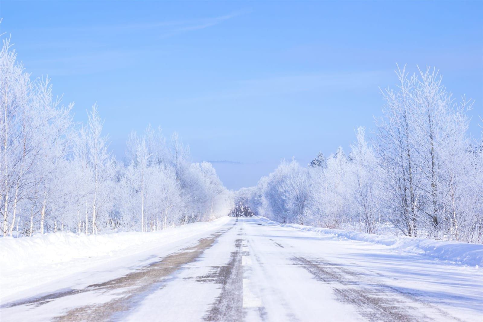 A frost-covered road lined with rimed birch trees running through open winter farmland under a clear blue sky