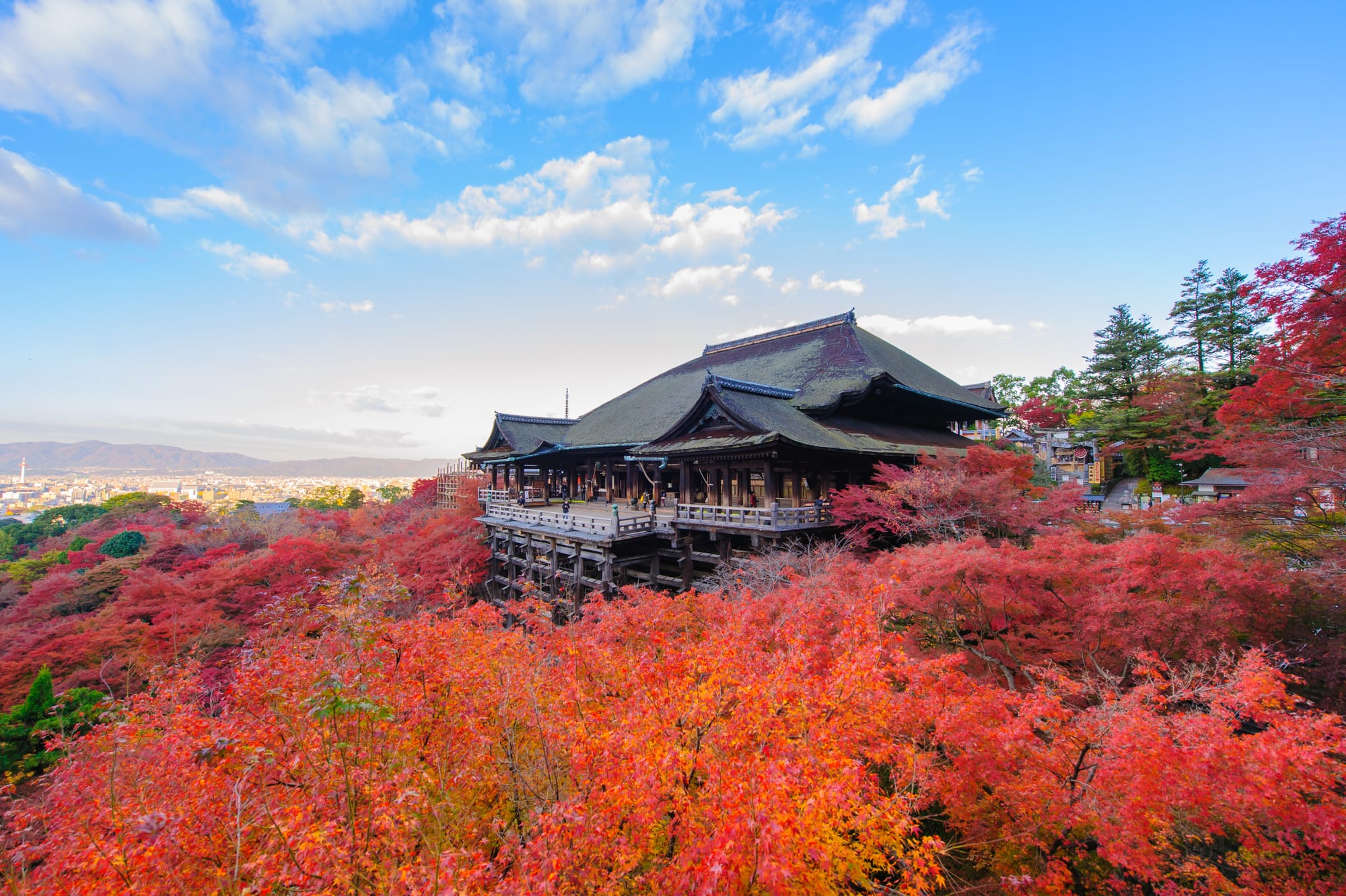 The wooden main hall of Kiyomizu-dera on its tall timber stage above a hillside of red and orange maples, Kyoto spread out below to the western mountains