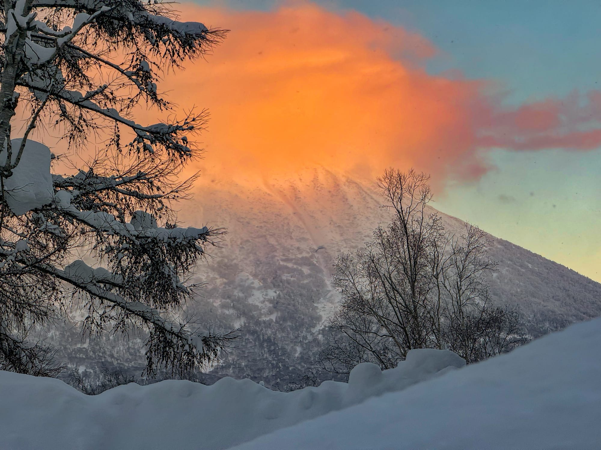 Snow-covered Mount Yōtei glowing orange under a clearing winter sky above a snow-laden forest in Hokkaidō