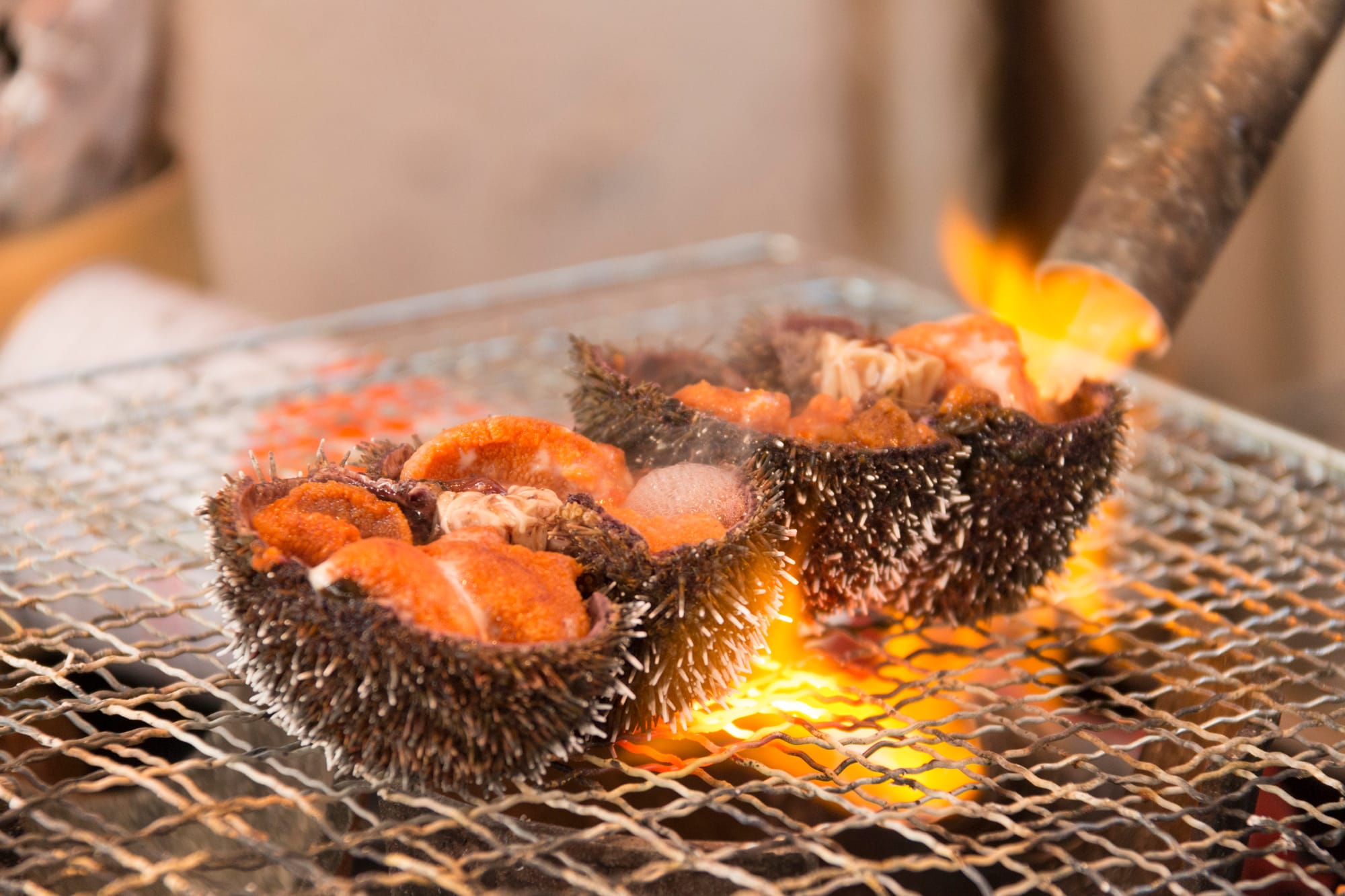 Sea urchin still in its spiny shell, grilling over open charcoal flame