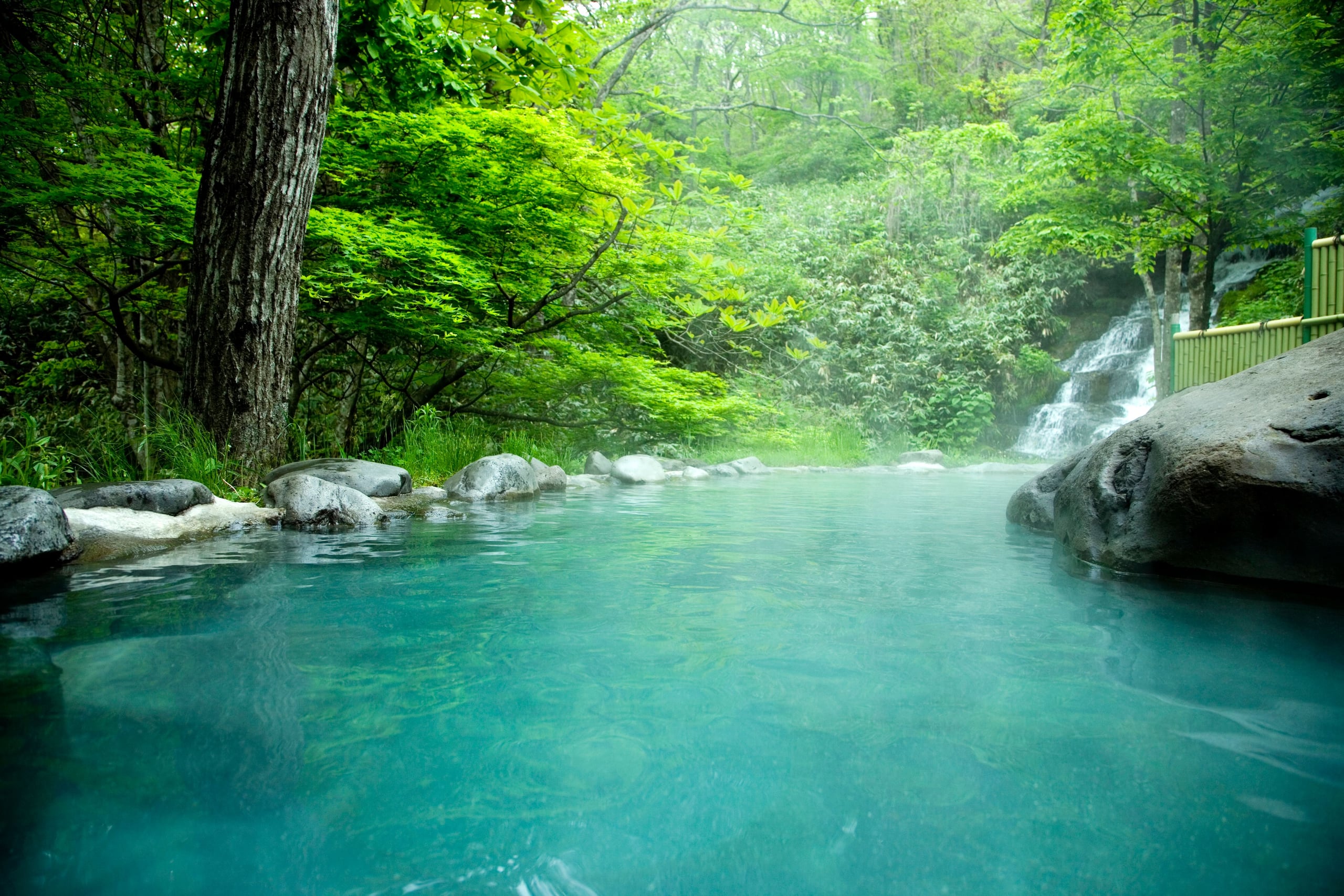 A milky blue-green open-air onsen pool bordered by rock, a waterfall at its head, in the green of spring