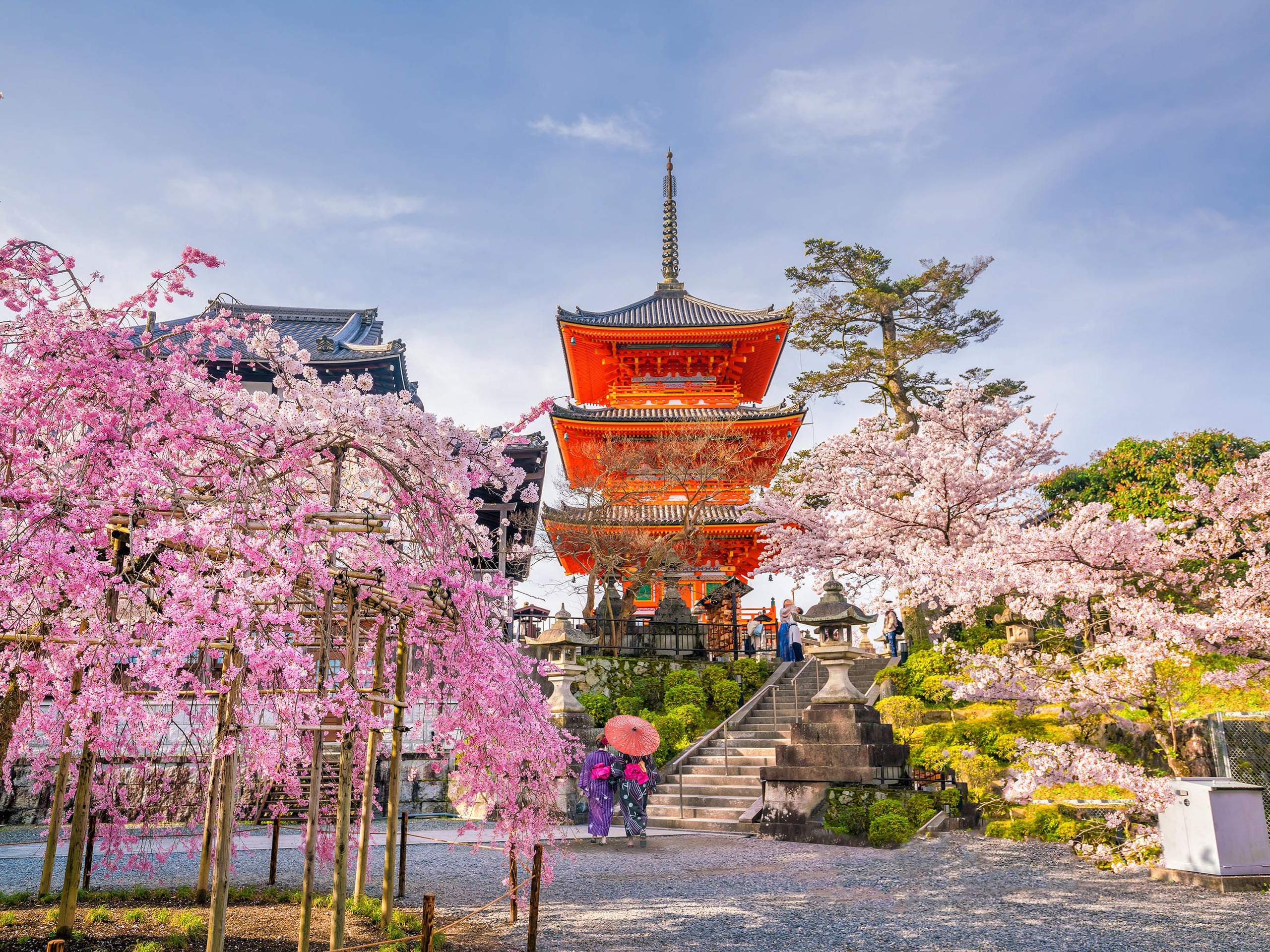 The vermilion three-storey pagoda of Kiyomizu-dera behind a weeping cherry in bloom