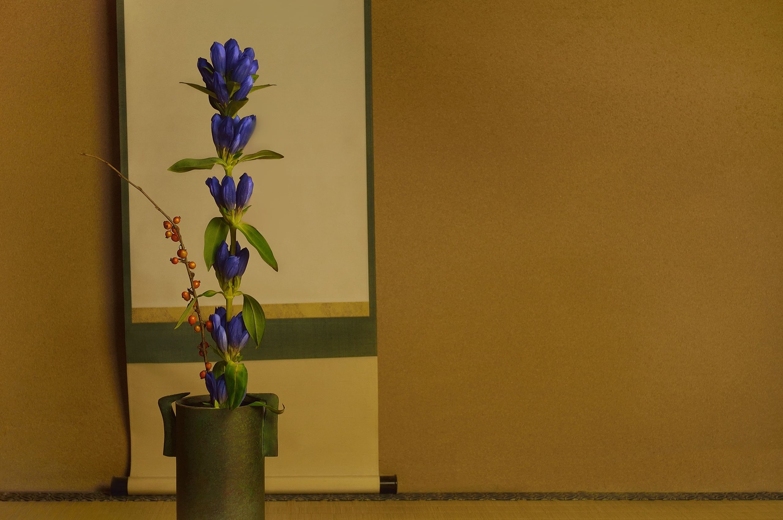 An ikebana arrangement of blue gentian in bloom with red berries, set in an alcove
