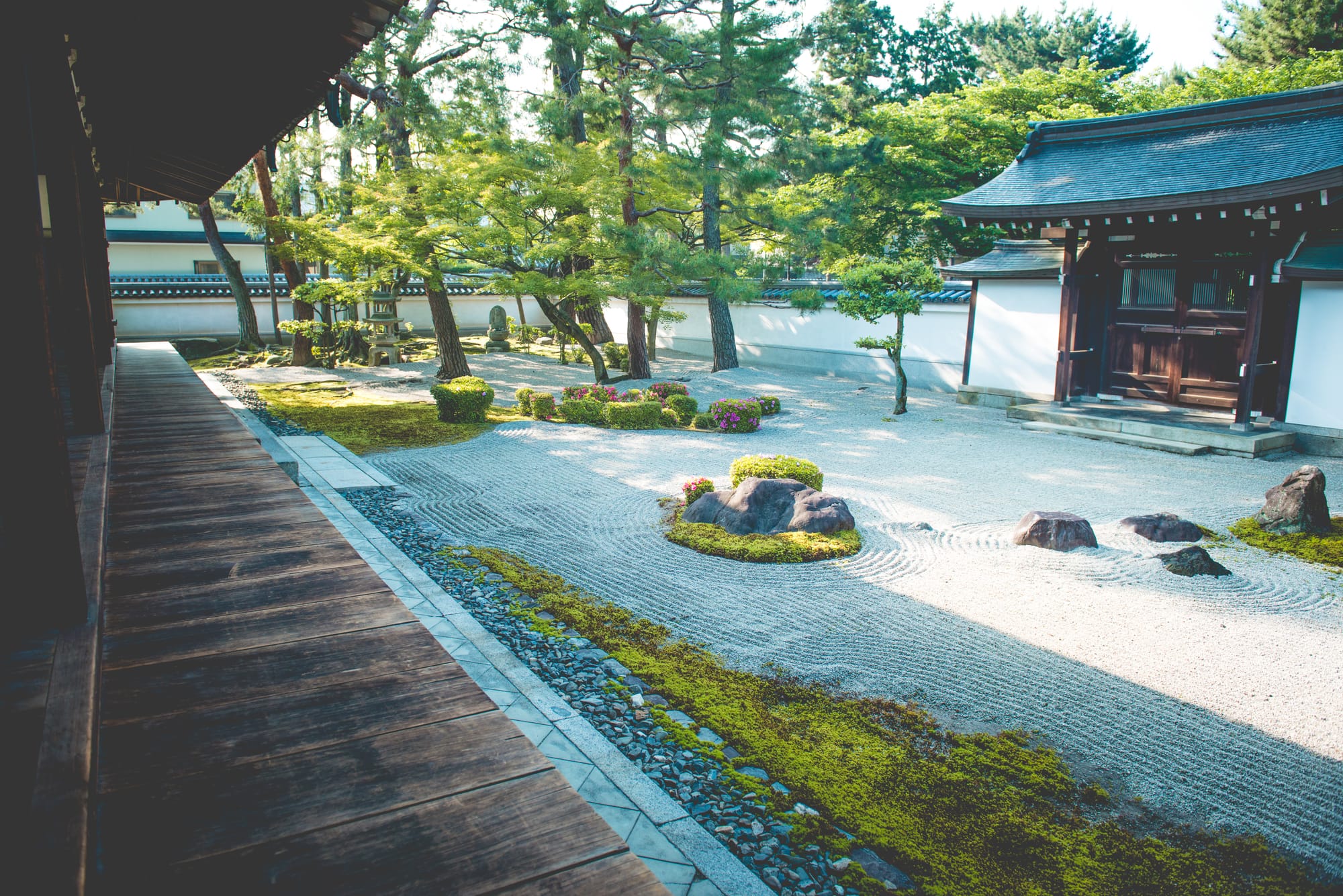 A dry garden of raked white gravel with low clipped azaleas and islands of moss set with rocks, seen from beside a wooden temple veranda, a temple building and pine trees beyond