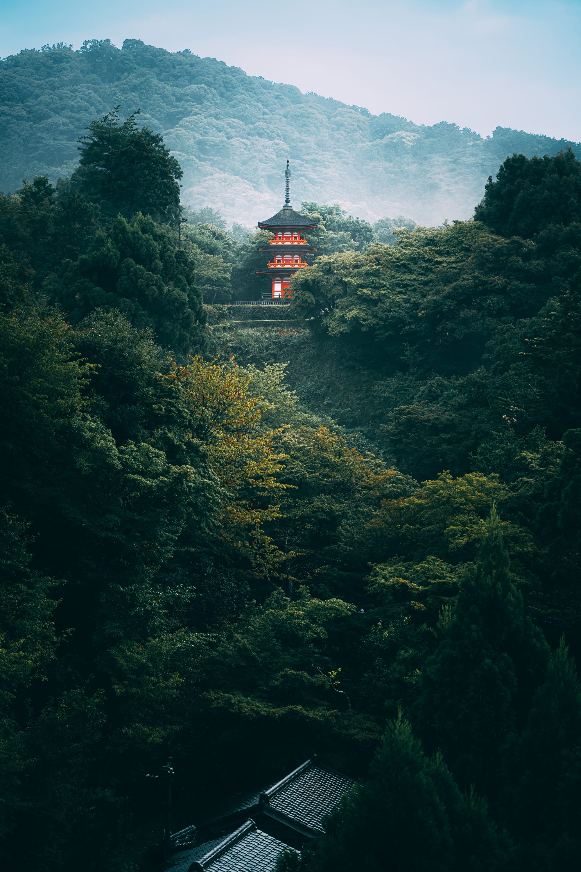 A small vermilion pagoda emerging from mist and dark cedar forest on the mountain of Koyasan