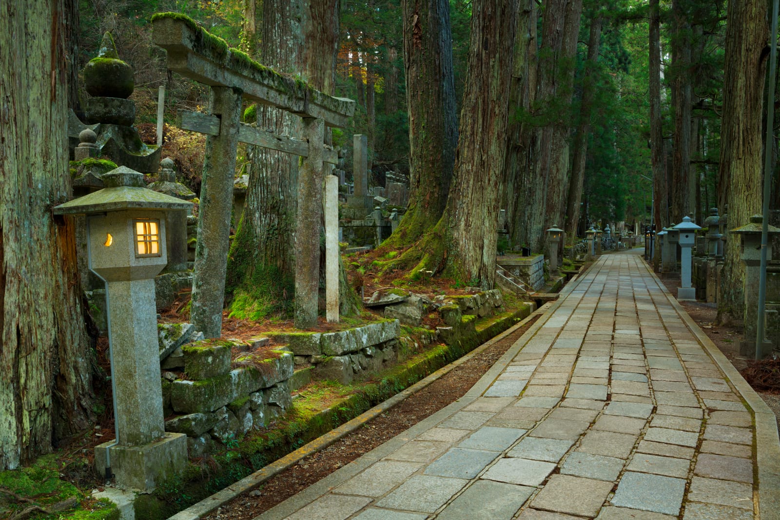 A moss-covered stone torii and lit stone lantern beside towering cedars on the Okunoin approach