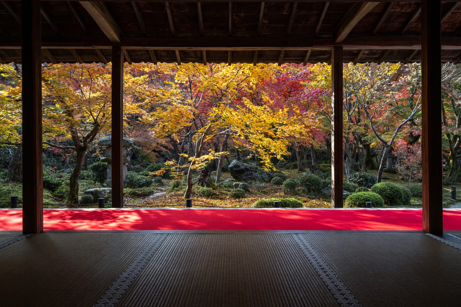 A red-carpeted temple veranda framing a garden of gold and red maples beyond dark wooden pillars