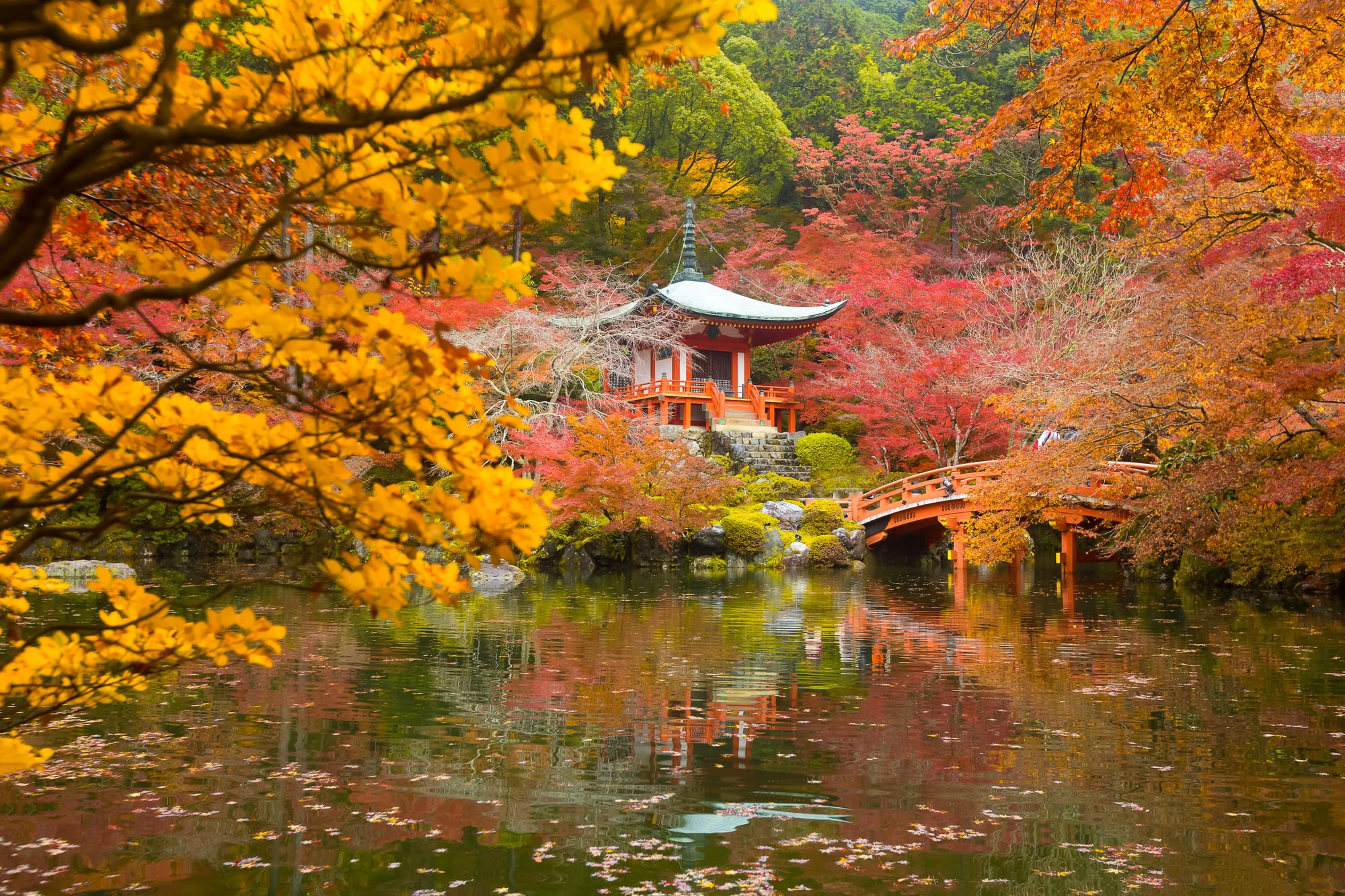 Daigo-ji's vermilion Bentendo hall and arched bridge reflected in a pond, framed by gold and red autumn maples