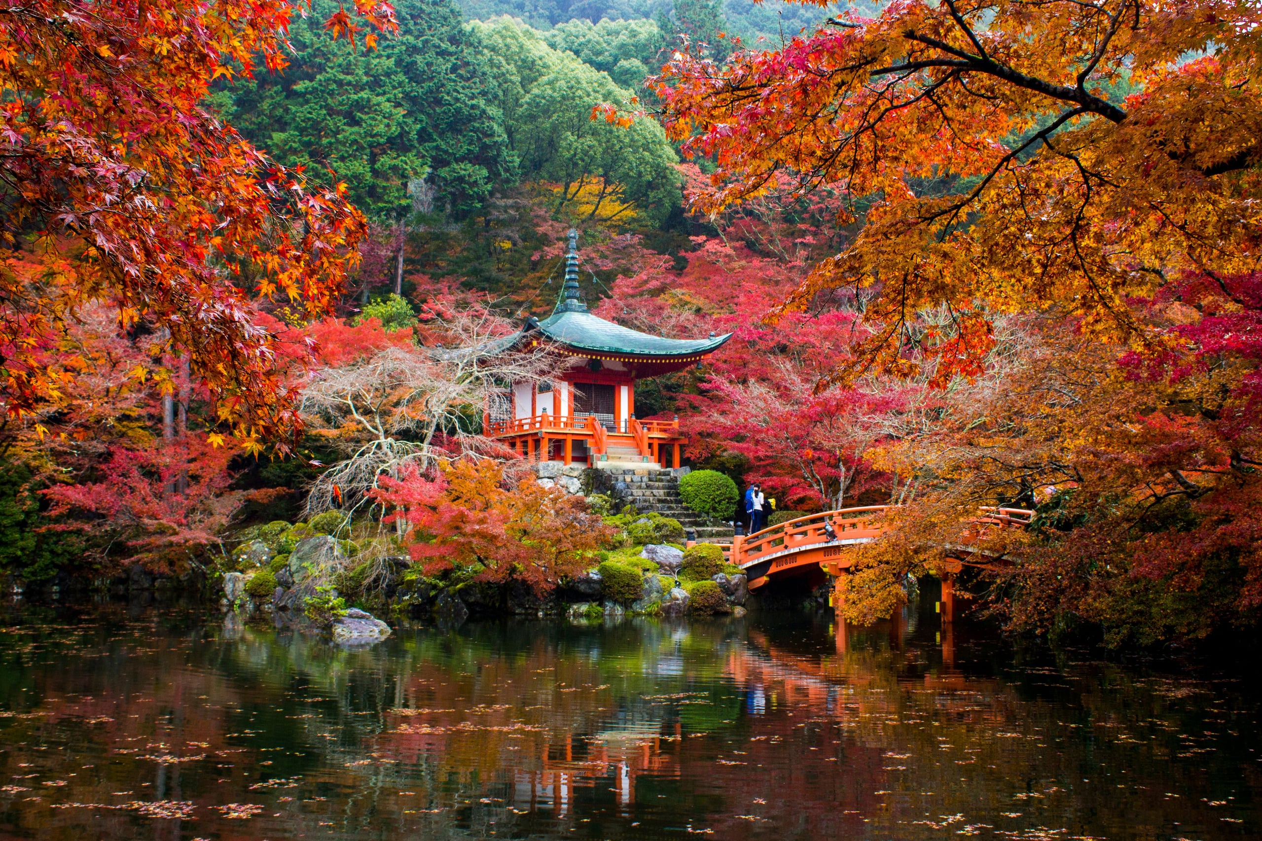 The Benten-do hall and its red bridge seen through maple branches at Daigo-ji, Kyoto, in autumn