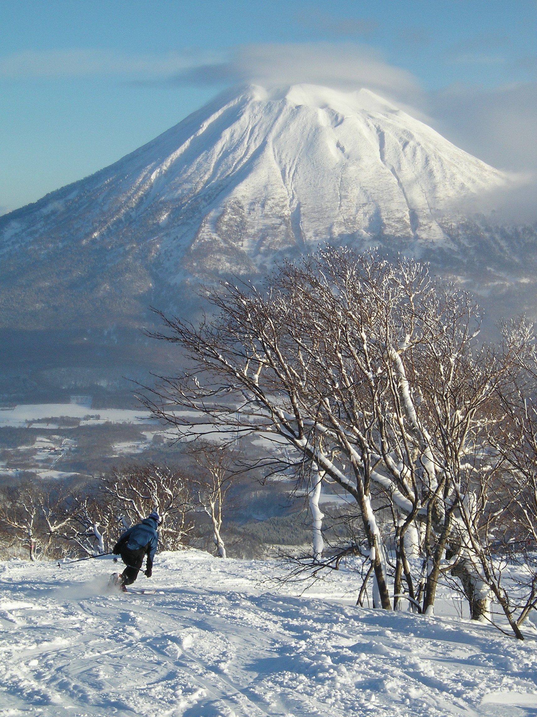A skier turning down a snowy slope beside bare, snow-dusted birches, the white cone of Mount Yōtei rising beyond under a cap of cloud