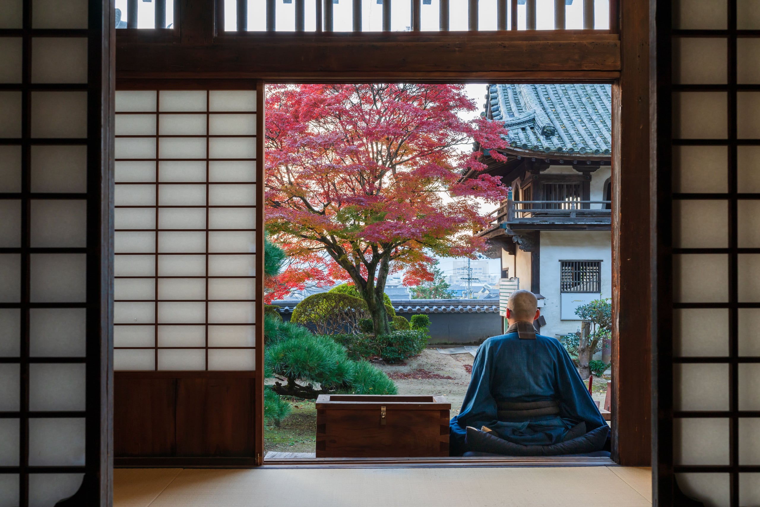A monk in blue robes seated in meditation at an open temple doorway, facing a red maple and a pagoda roof