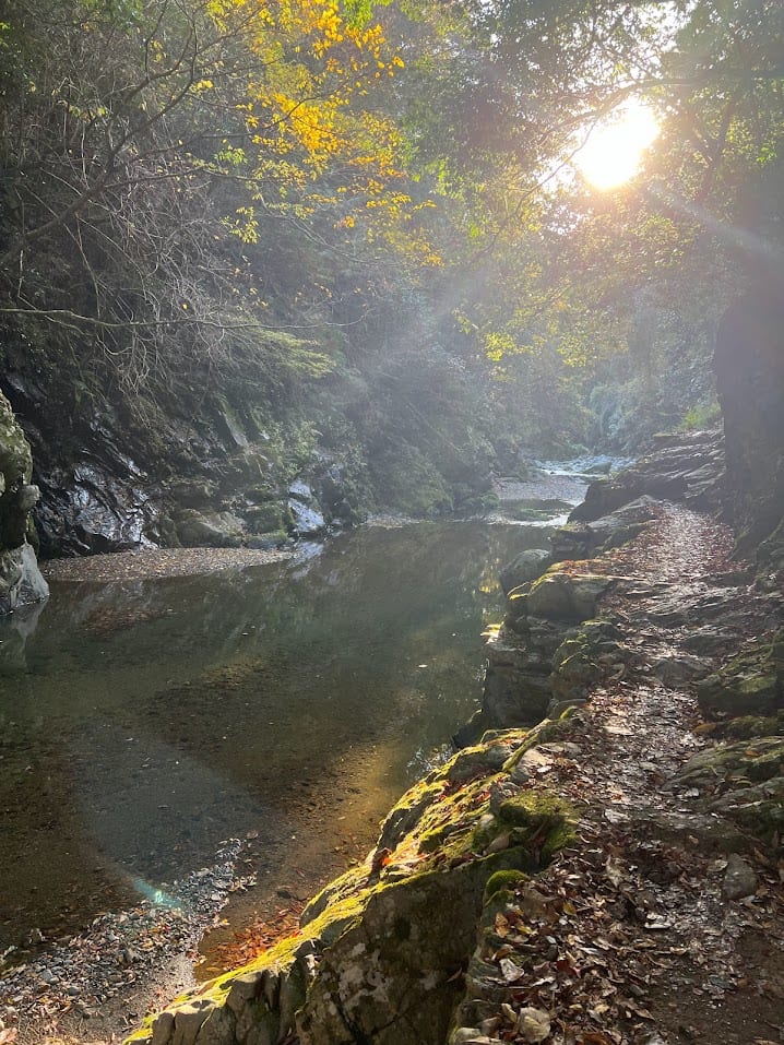 A red arched bridge crossing a mountain river between banks of gold and red autumn foliage