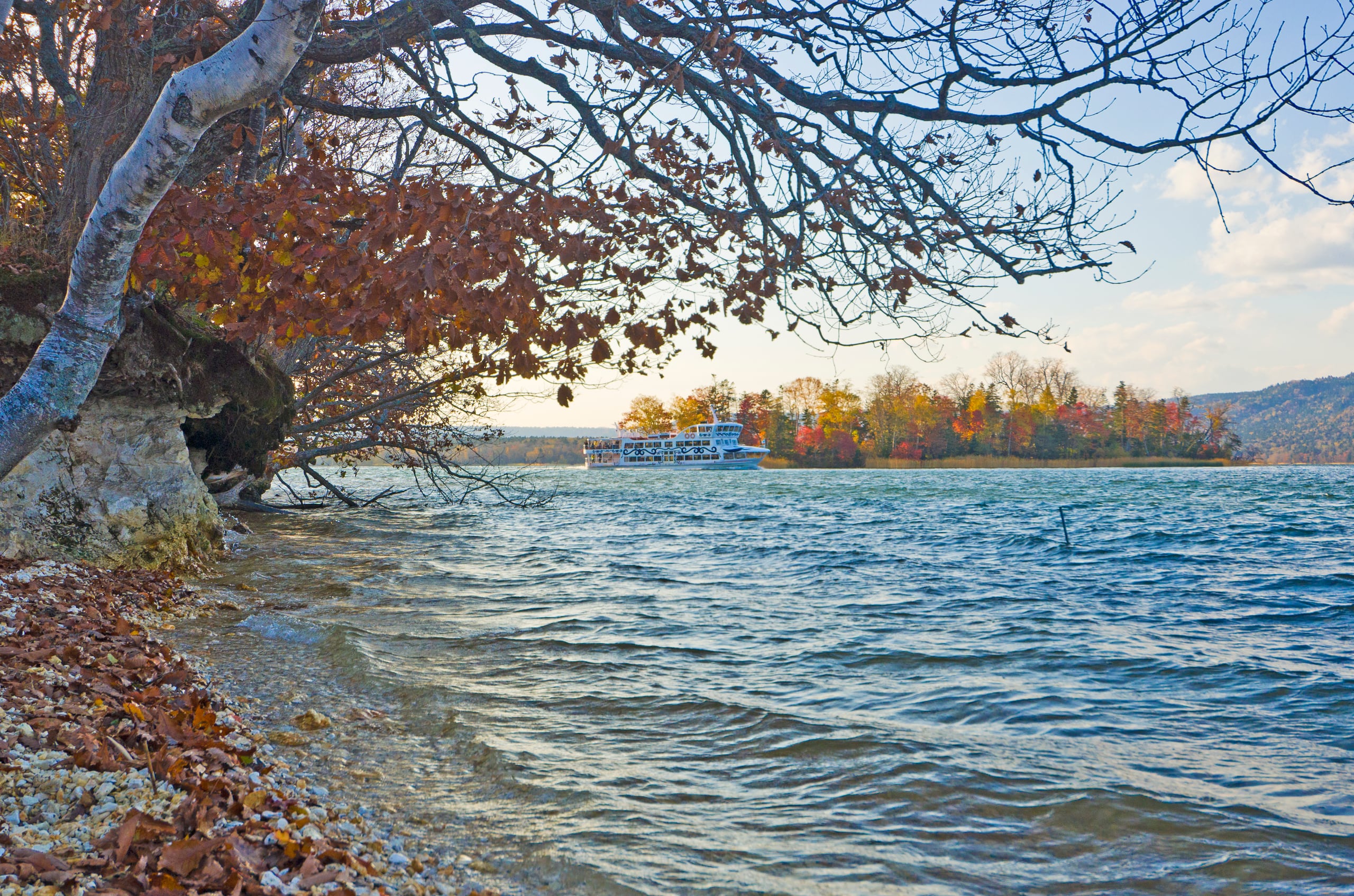 A birch leaning over the stony shore of Lake Akan in autumn, fallen leaves at the water's edge and a boat crossing toward a wooded island
