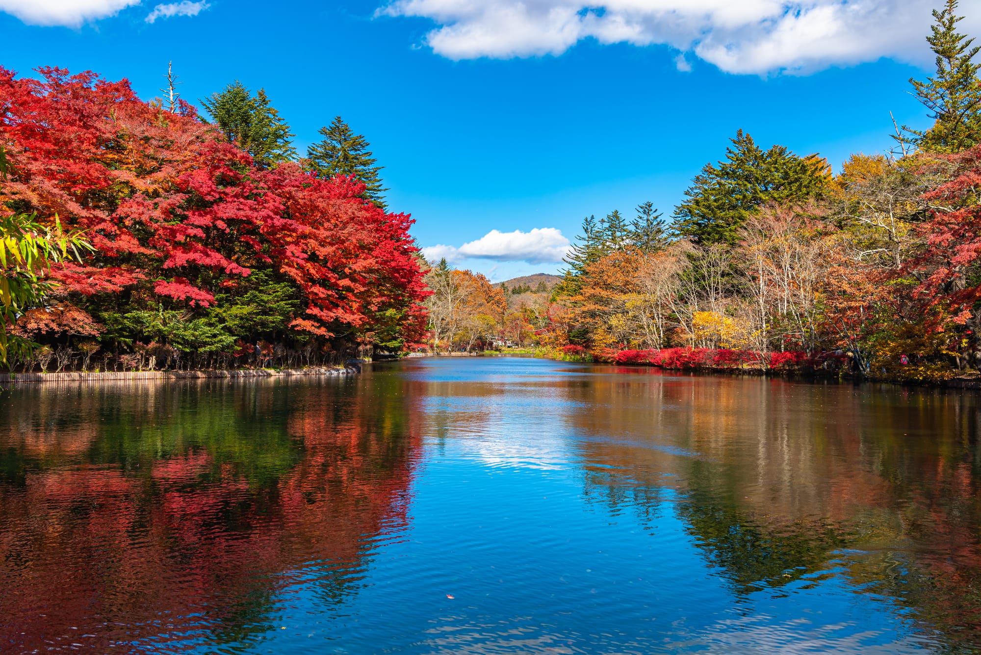 Red and orange autumn trees reflected in the still water of a mountain lake
