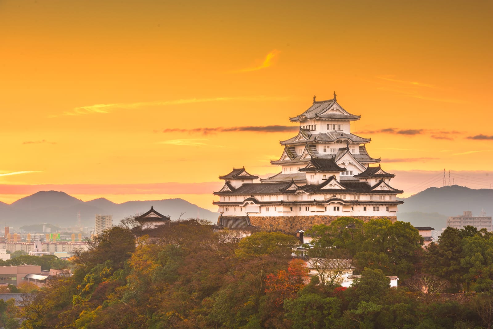 Himeji Castle's white multi-tiered keep at sunset above autumn-coloured trees