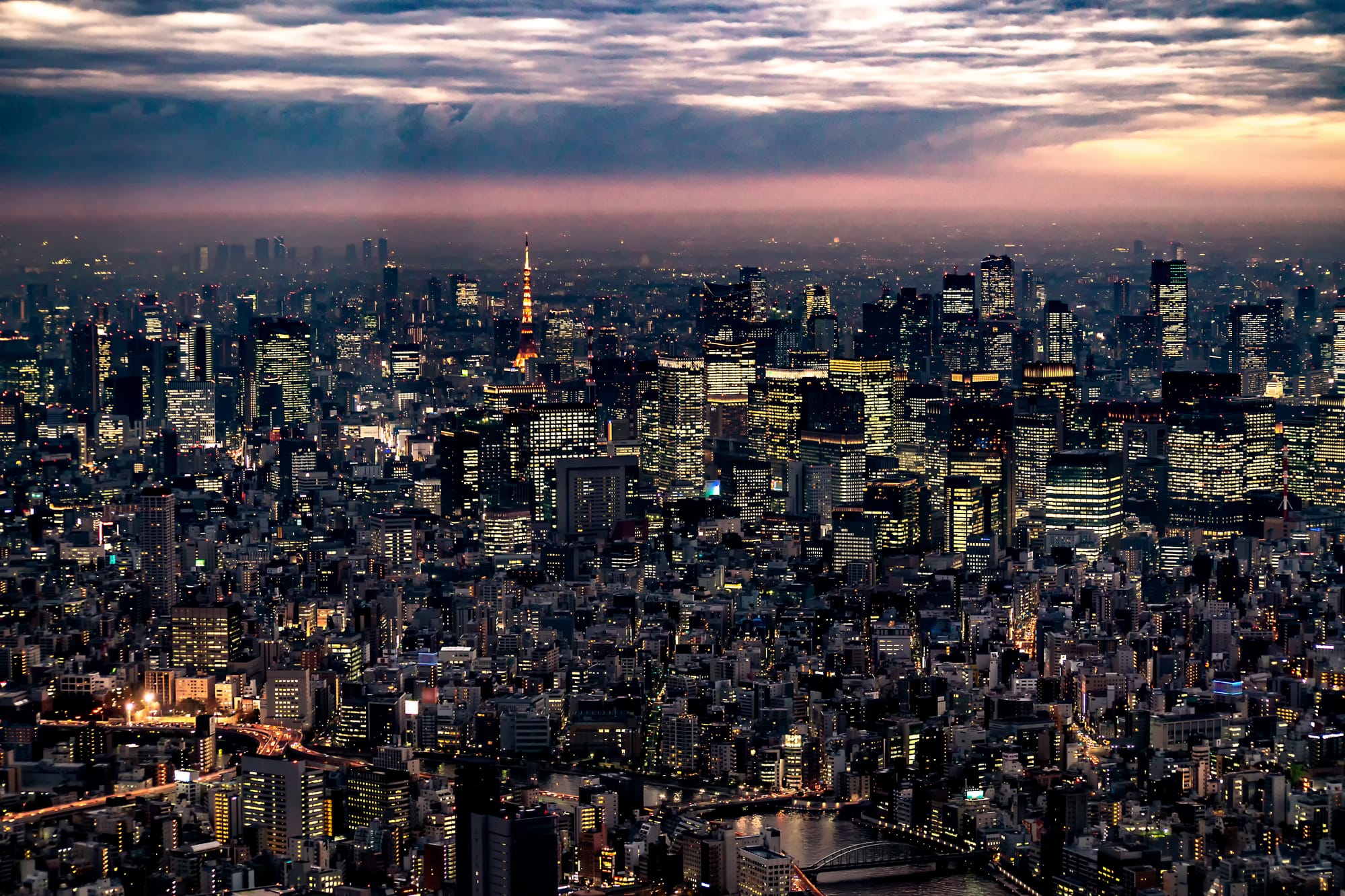 Dense Tokyo skyline at dusk seen from above, Tokyo Tower lit orange among a vast field of illuminated towers stretching to the horizon