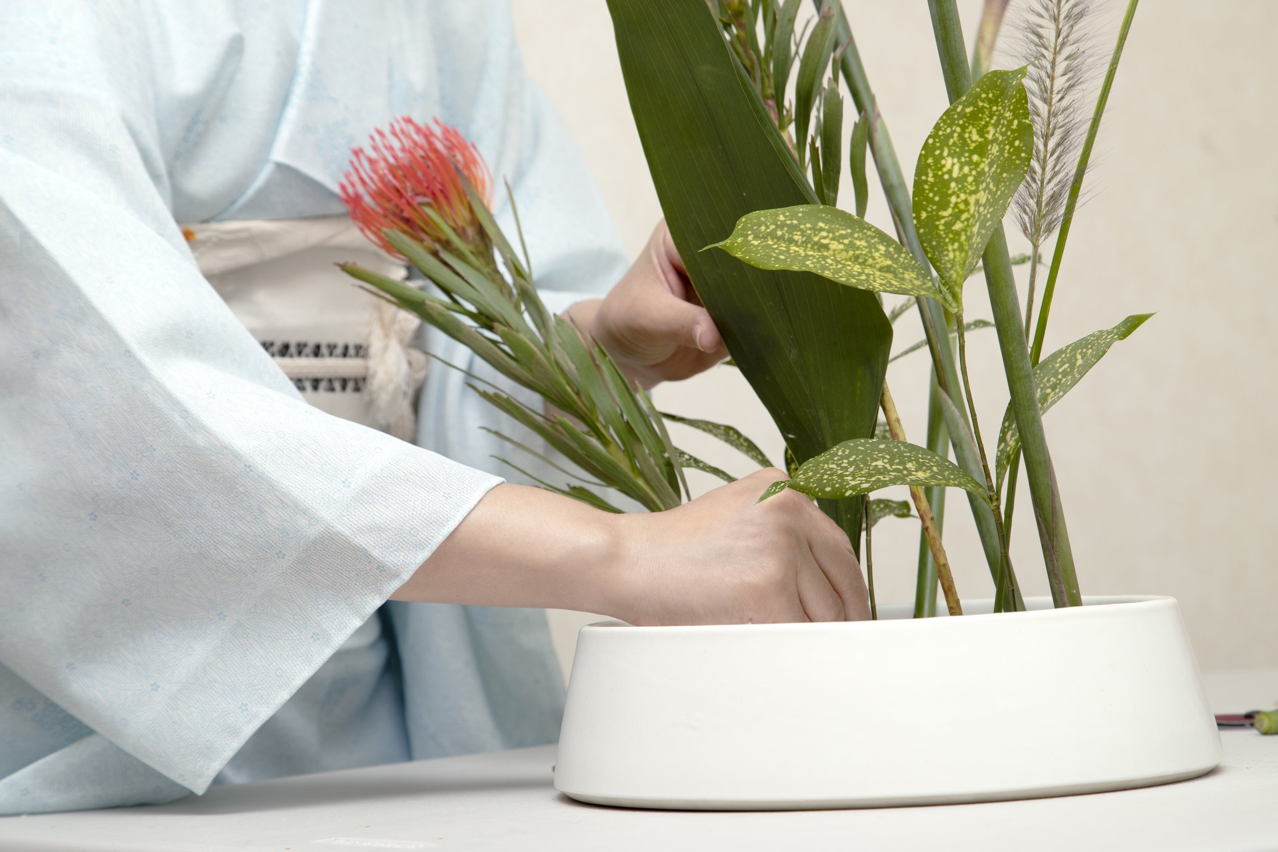 Hands in a pale kimono sleeve arrange leaves and a red flower in a white vessel