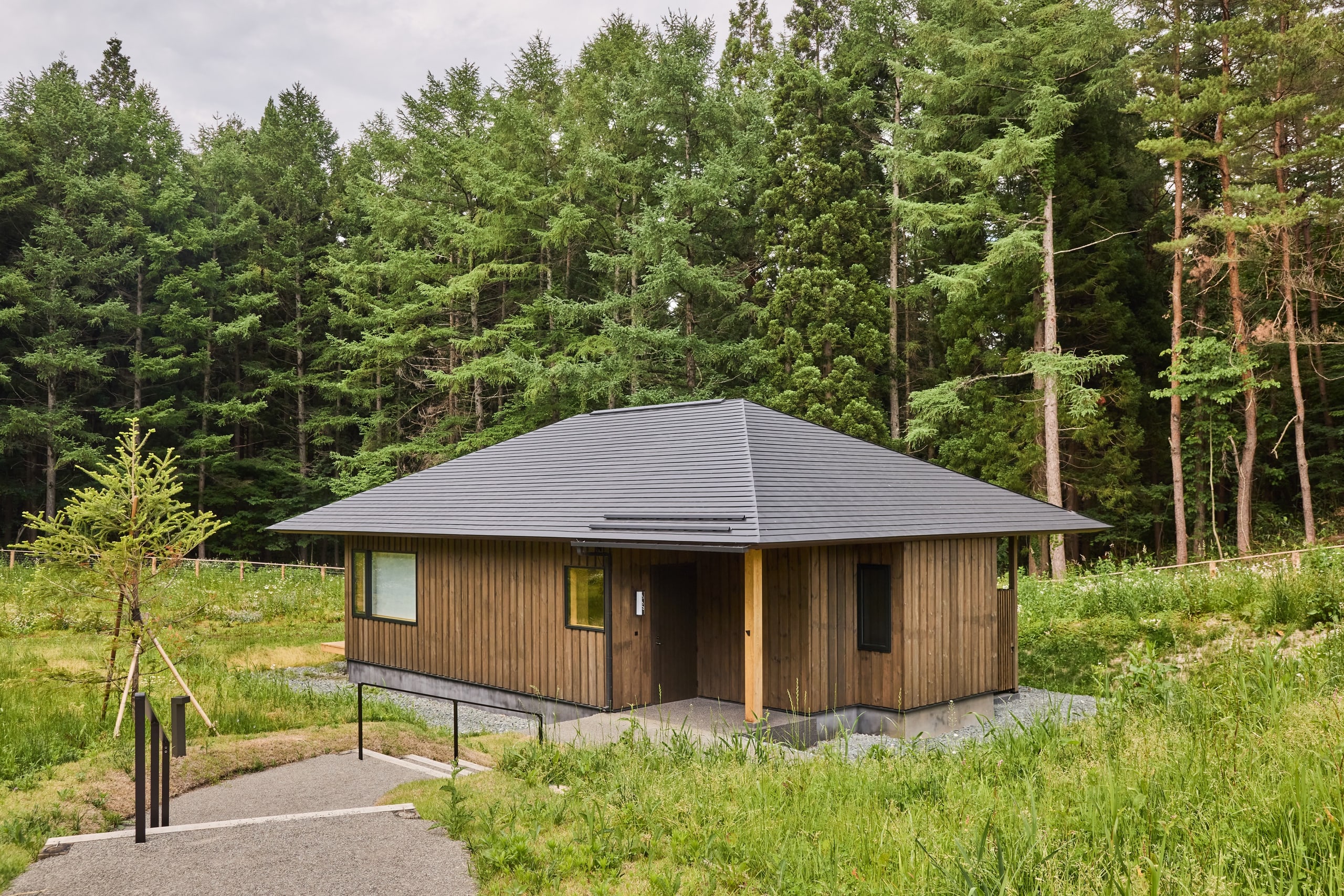 A garden villa of dark timber under a hipped roof among larch and pine, long grass before it