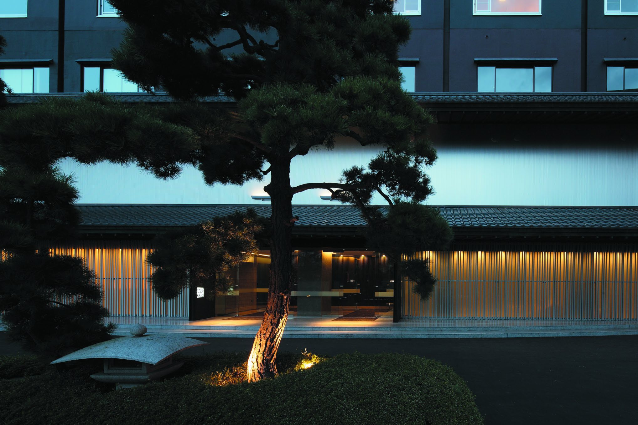 The lit front of Bourou Noguchi Hakodate at dusk, a pine standing before the entrance