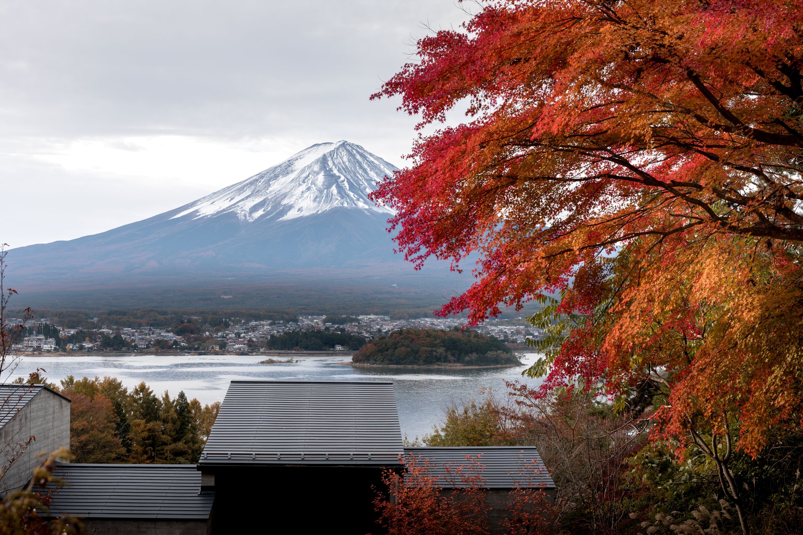 The cabins on the hillside beneath red maple, Mount Fuji and the lake beyond