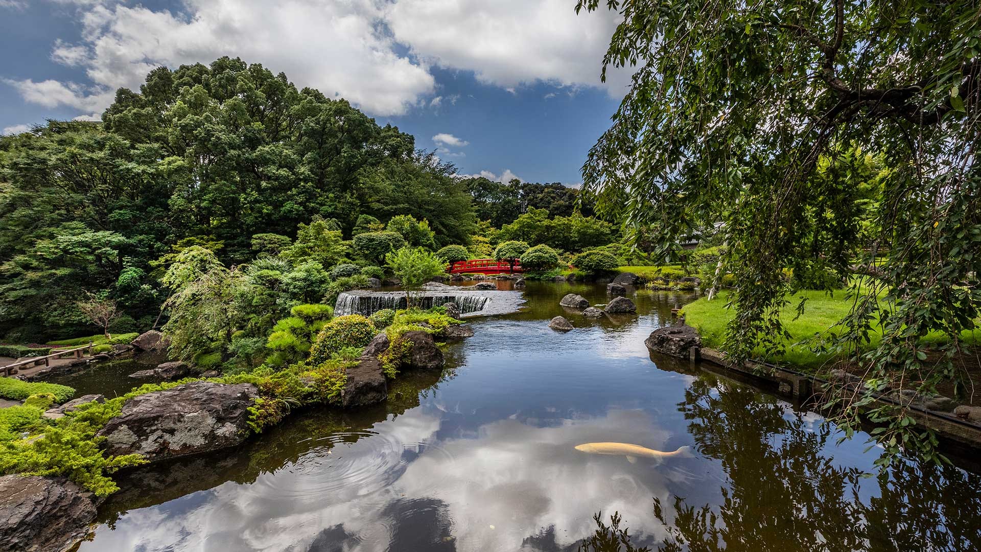 A still pond in the hotel's Japanese garden, a red bridge and a small waterfall among clipped pines and maples, a golden carp below the surface
