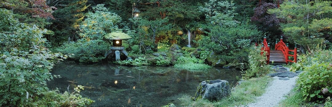 A Japanese garden of pines and maples around a still pond, a stone lantern and a small red bridge