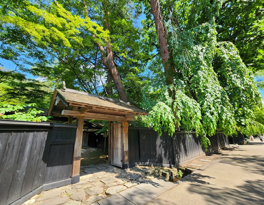 A roofed wooden gate in the samurai district of Kakunodate beneath a tall weeping tree