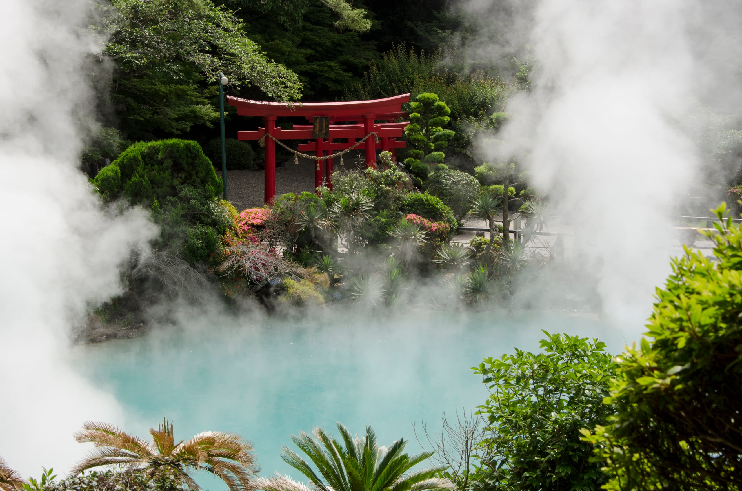 A cobalt-blue hot-spring pool wreathed in steam, a red torii among the trees beyond