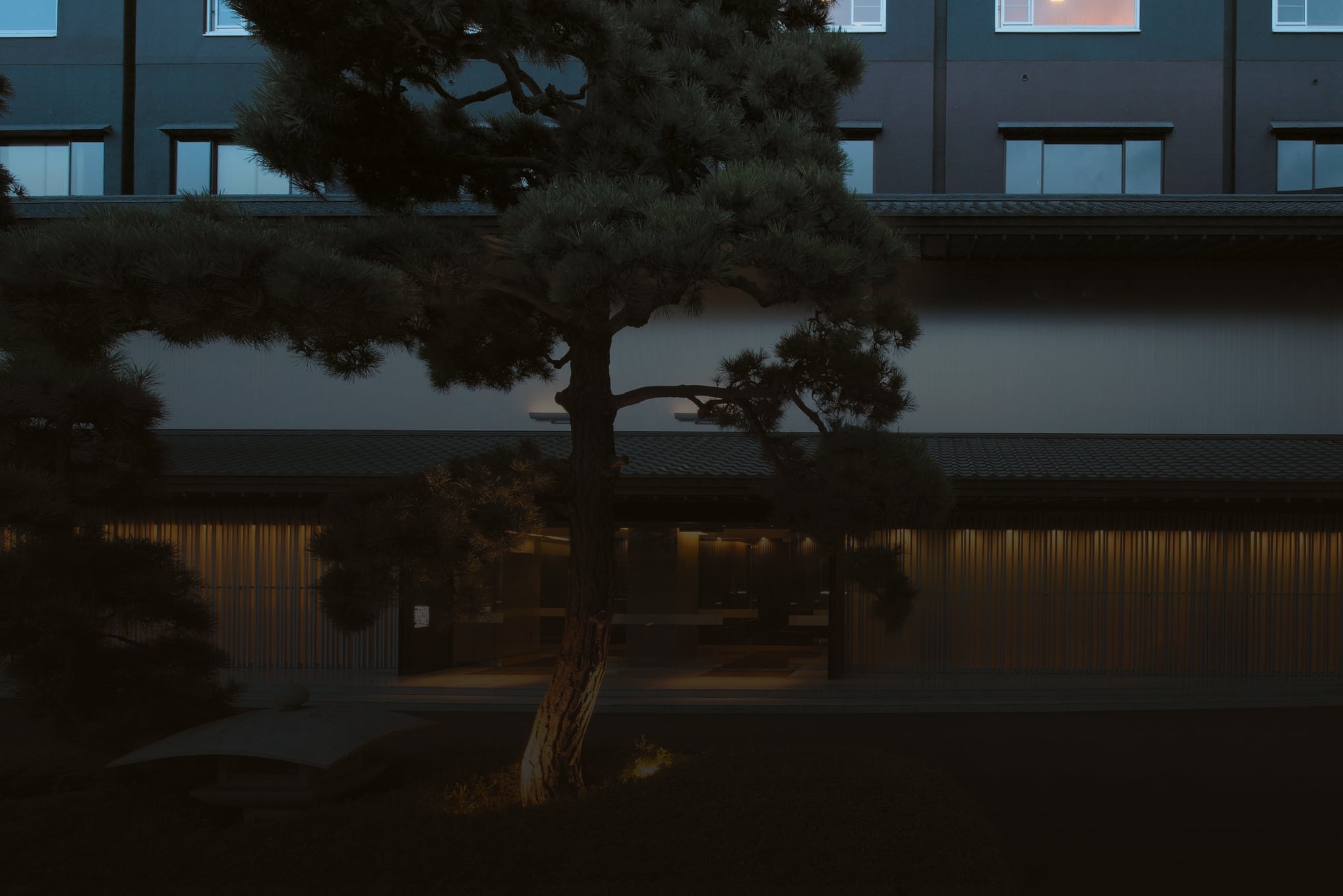 The lit facade of Bourou Noguchi Hakodate at dusk, a pine before the entrance
