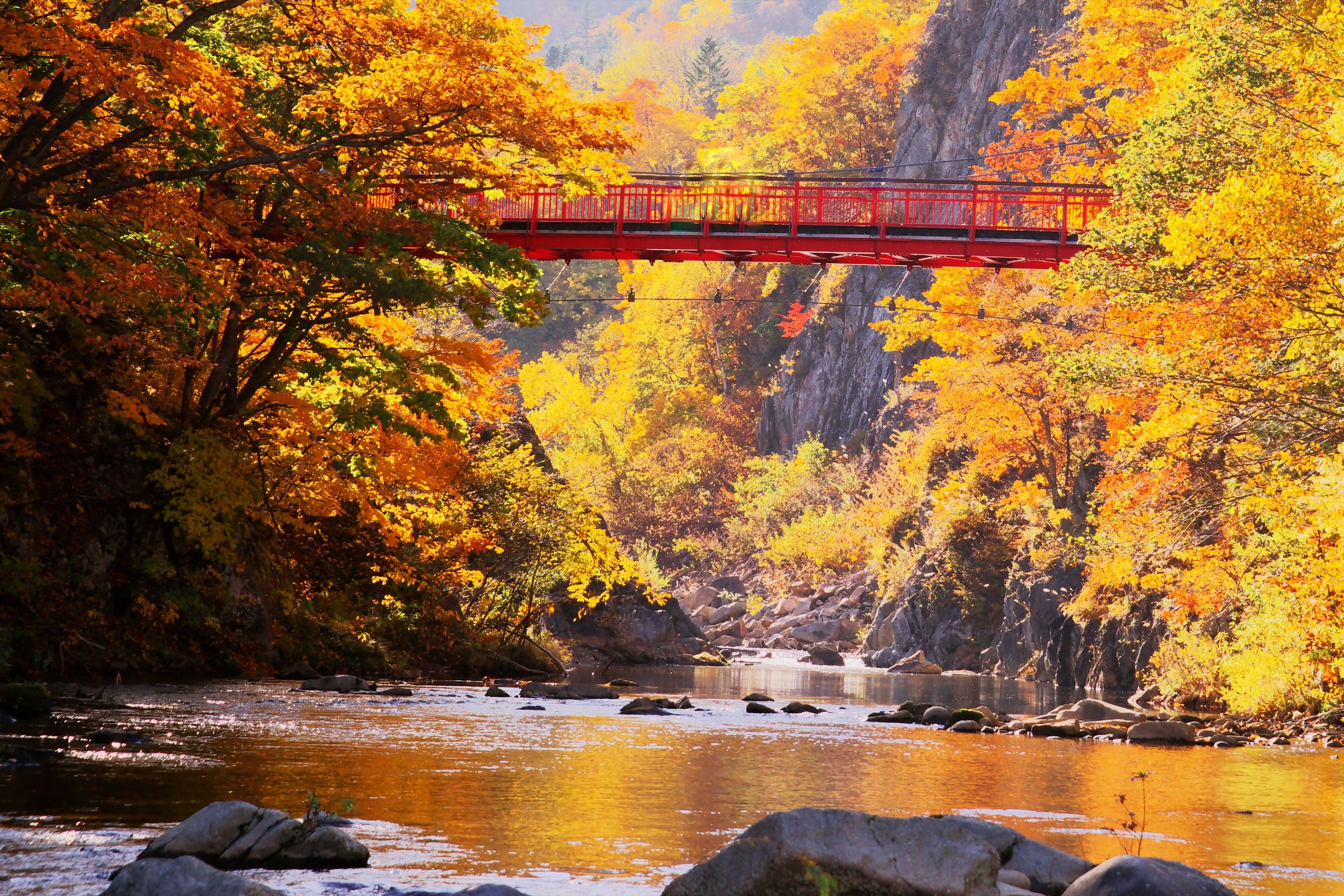 A red steel suspension bridge over a rocky river gorge, the trees on both banks gold with autumn, Jozankei