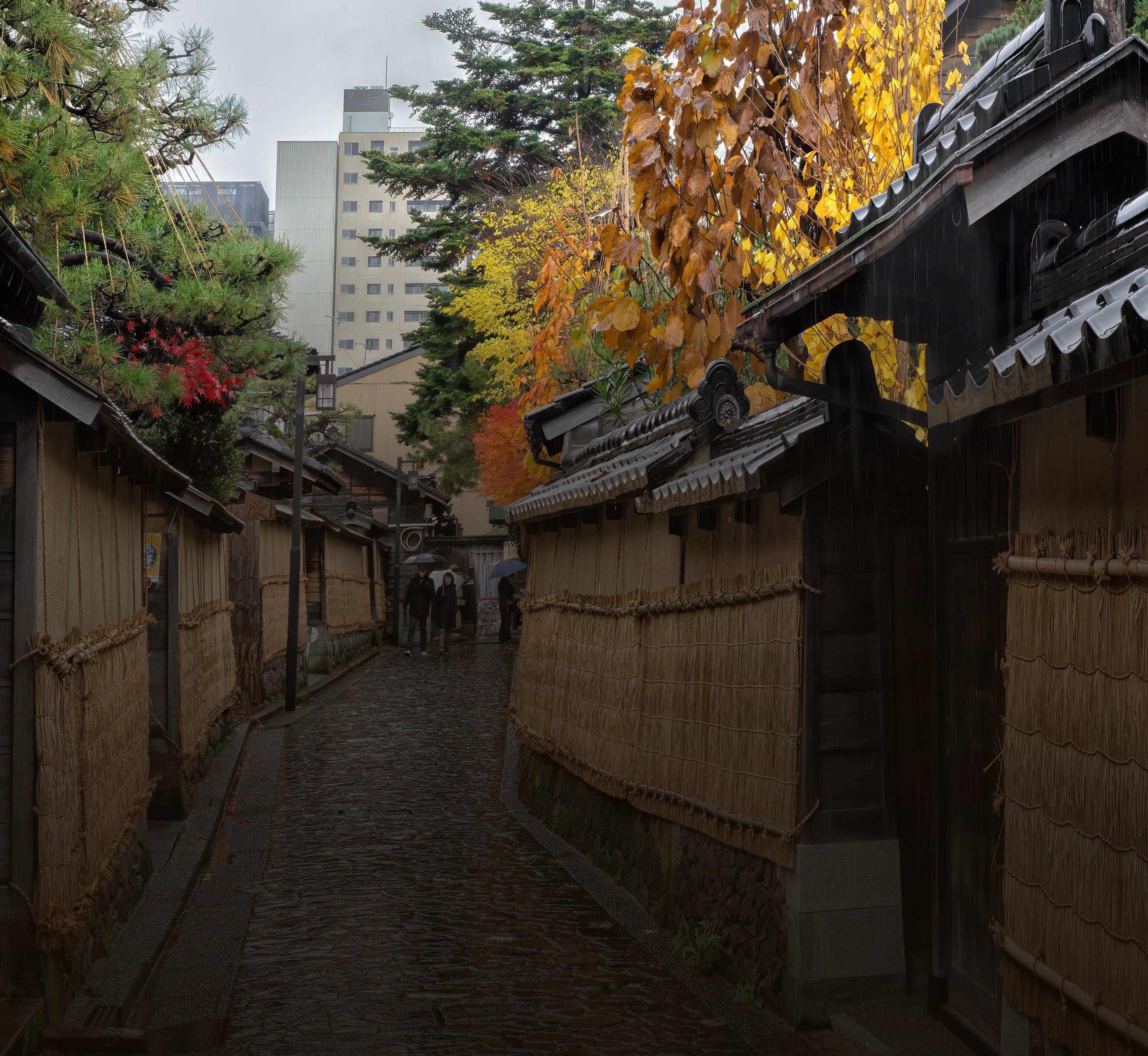 A narrow rain-wet lane between earthen walls and straw screens in the samurai quarter of Nagamachi, Kanazawa