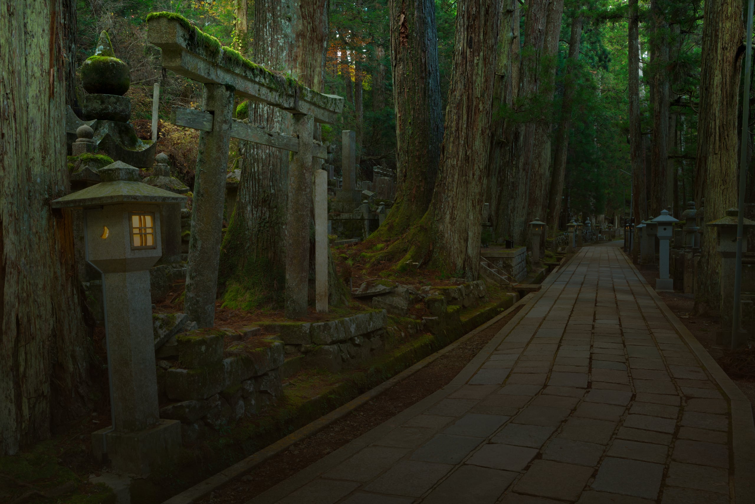 A moss-covered stone torii and a lit stone lantern beside a paved path beneath tall cedars at Okunoin
