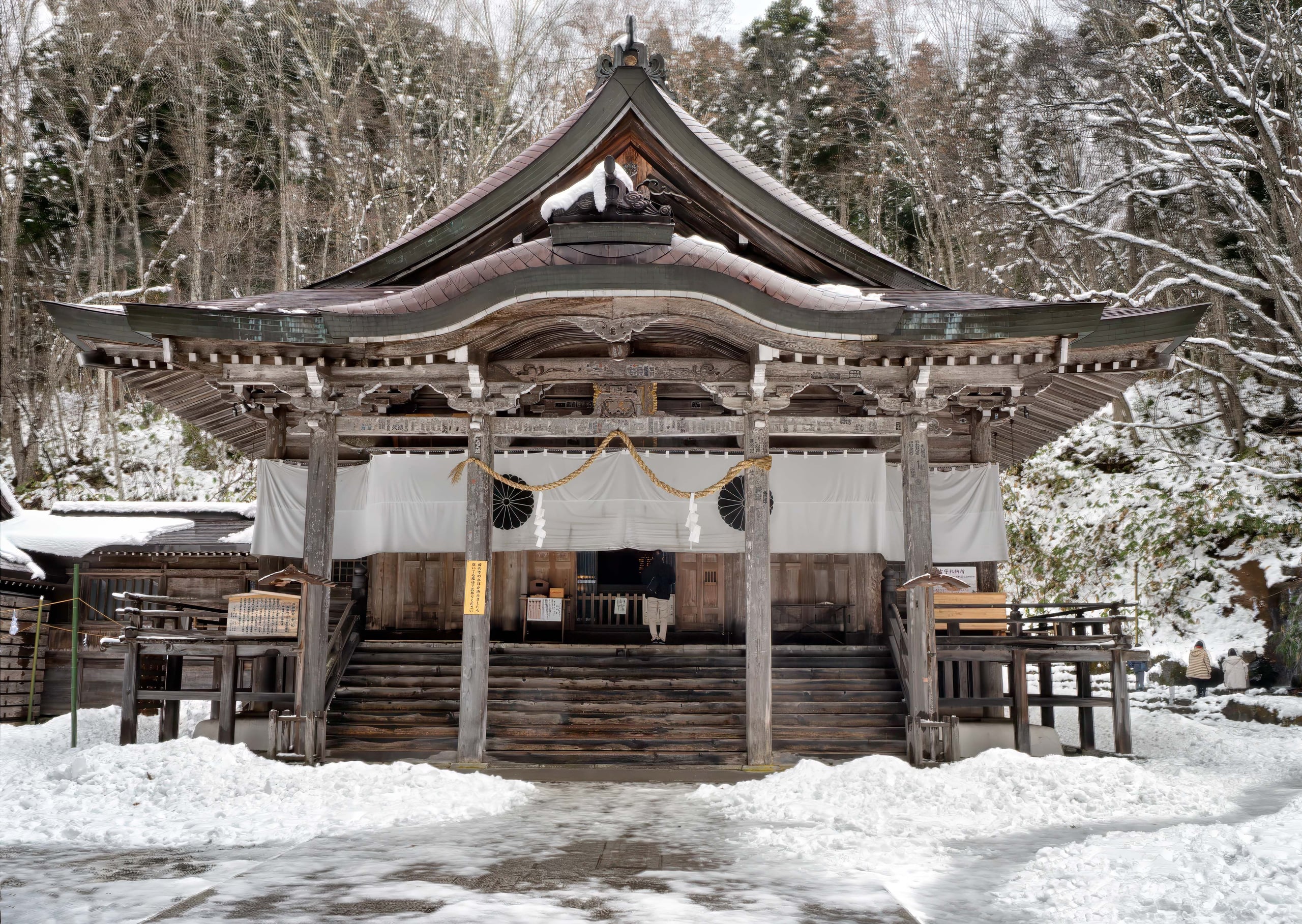 The weathered wooden hall of Togakushi Chusha under snow, its deeply curved roof loaded white