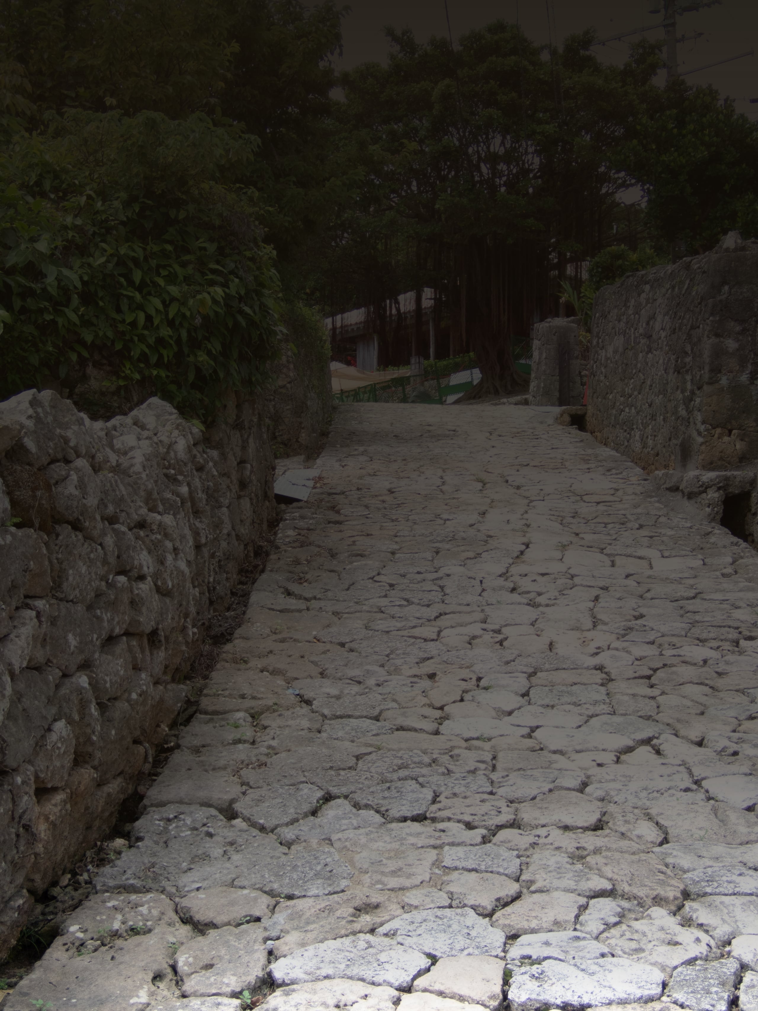 A lane paved with uneven stone climbing between coral limestone walls under trees, Shuri Kinjo-cho