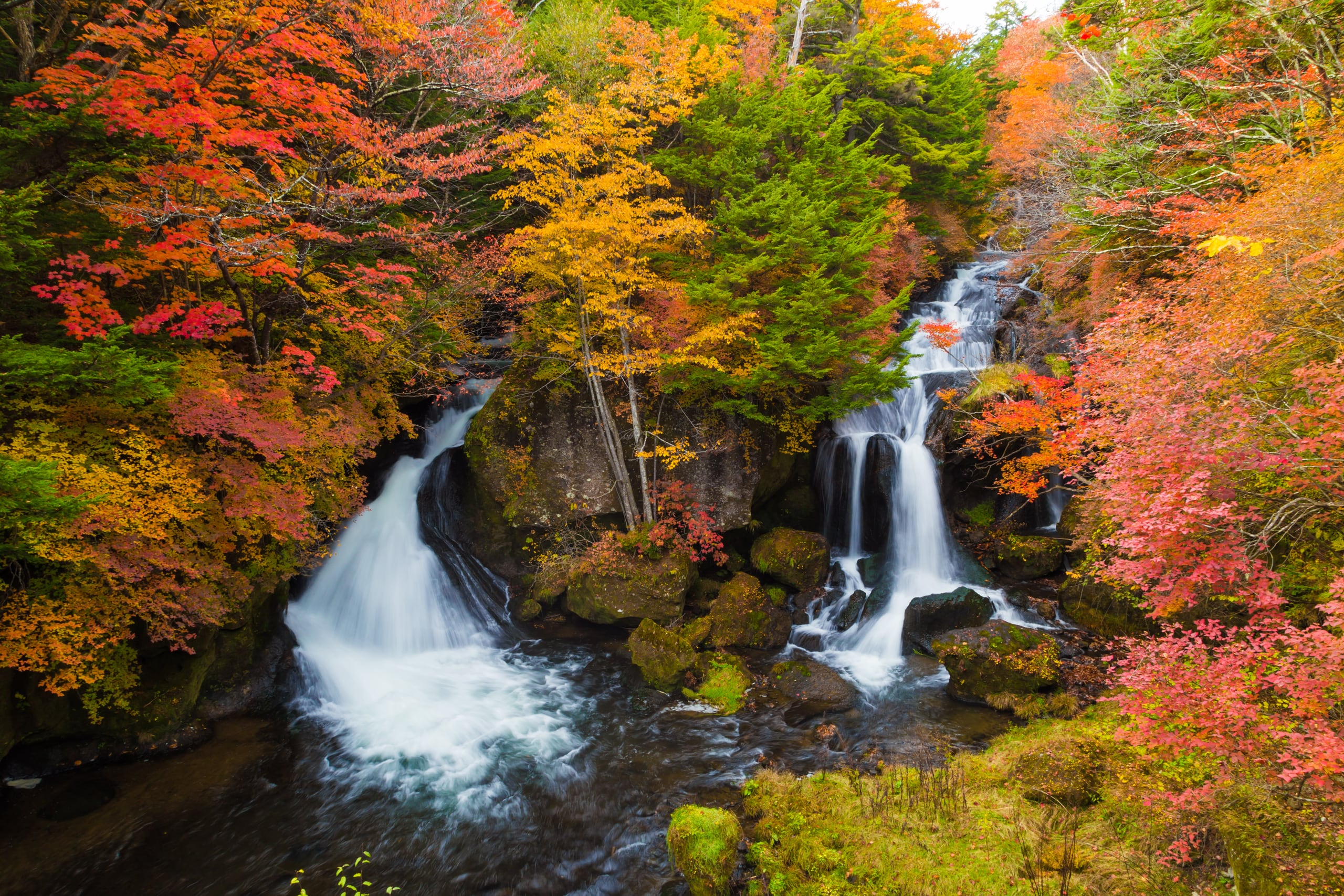 A waterfall dividing into two channels over dark rock among red and orange trees