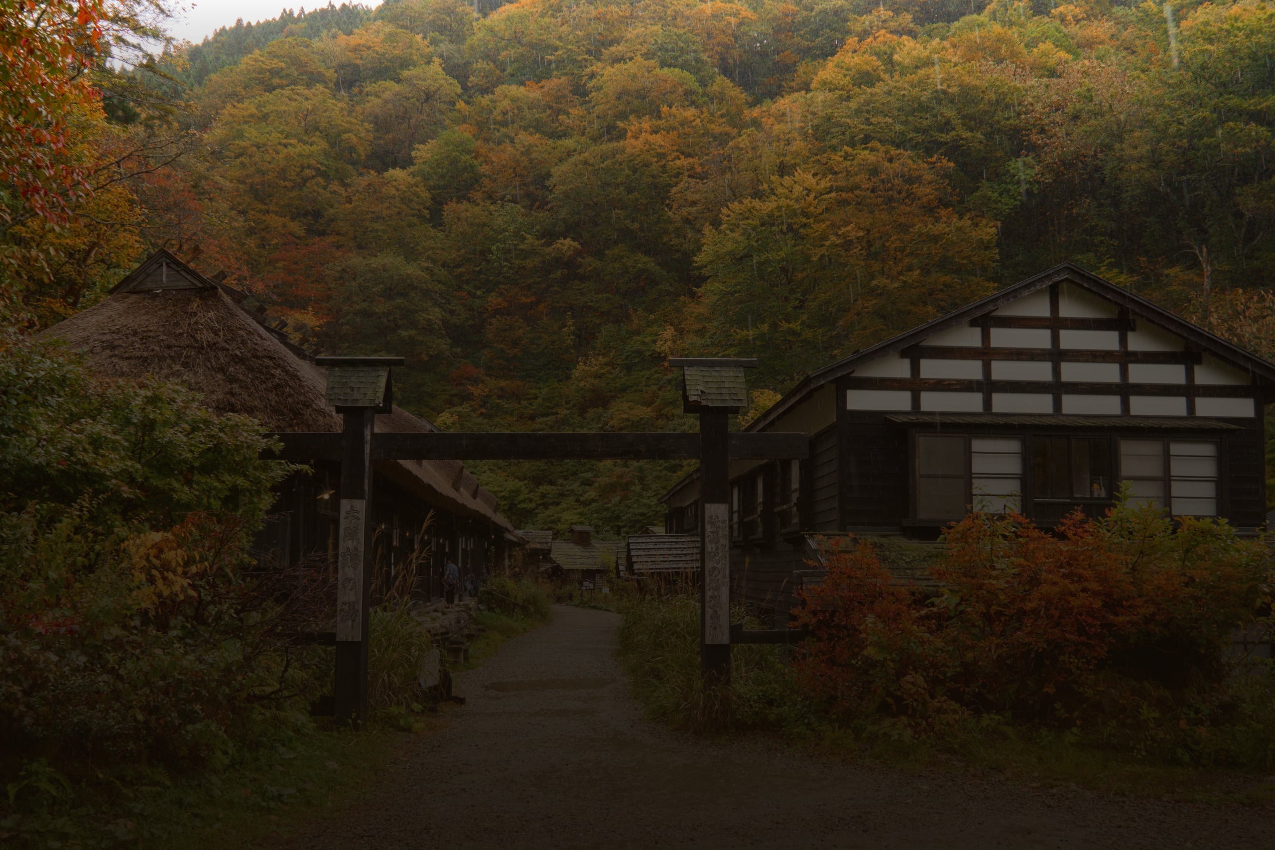 The gate of Tsurunoyu at Nyuto Onsen, thatched and timber bathhouses beneath an autumn beech forest