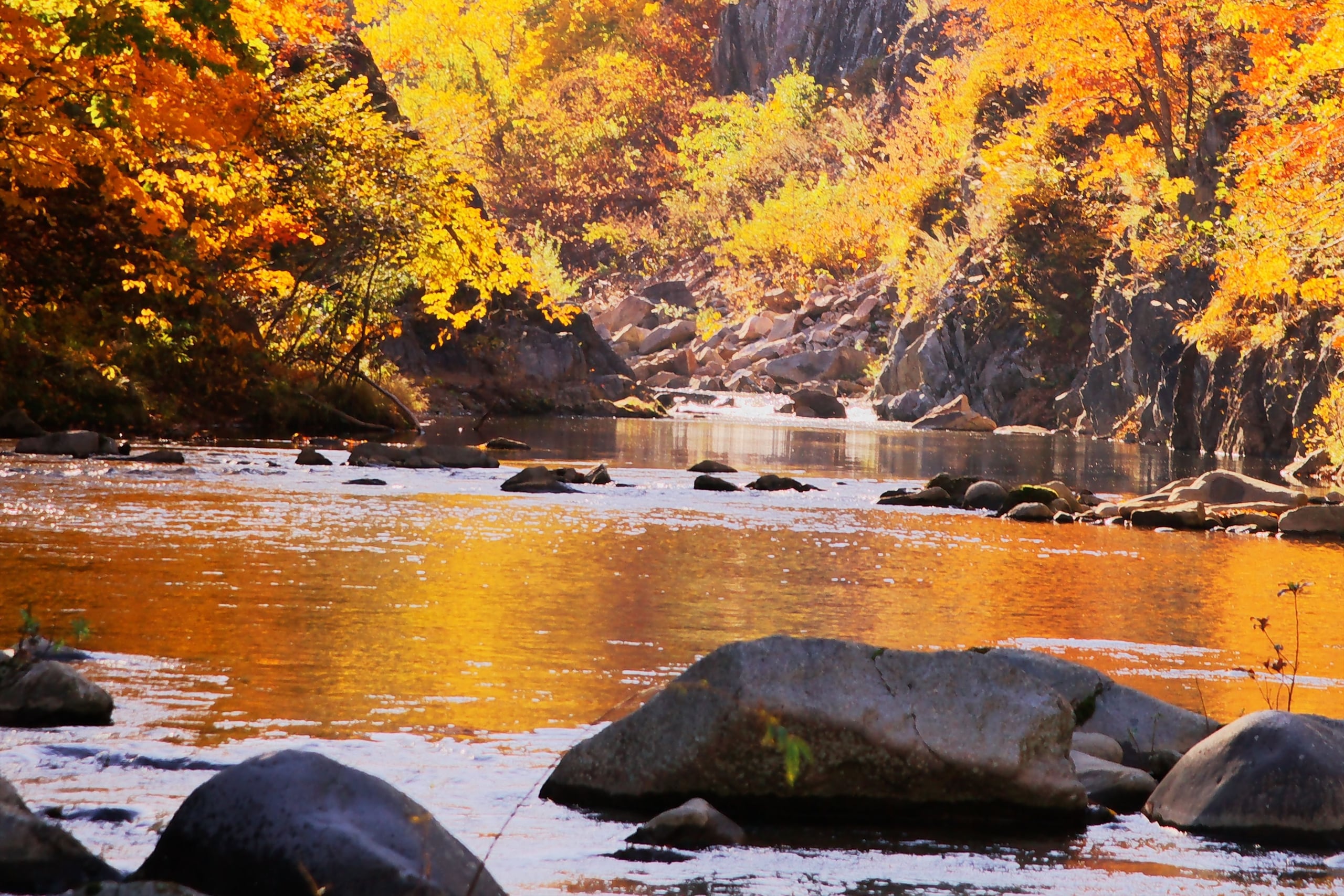 The red Futami suspension bridge over a rocky river gorge in autumn colour, Jozankei, Hokkaido