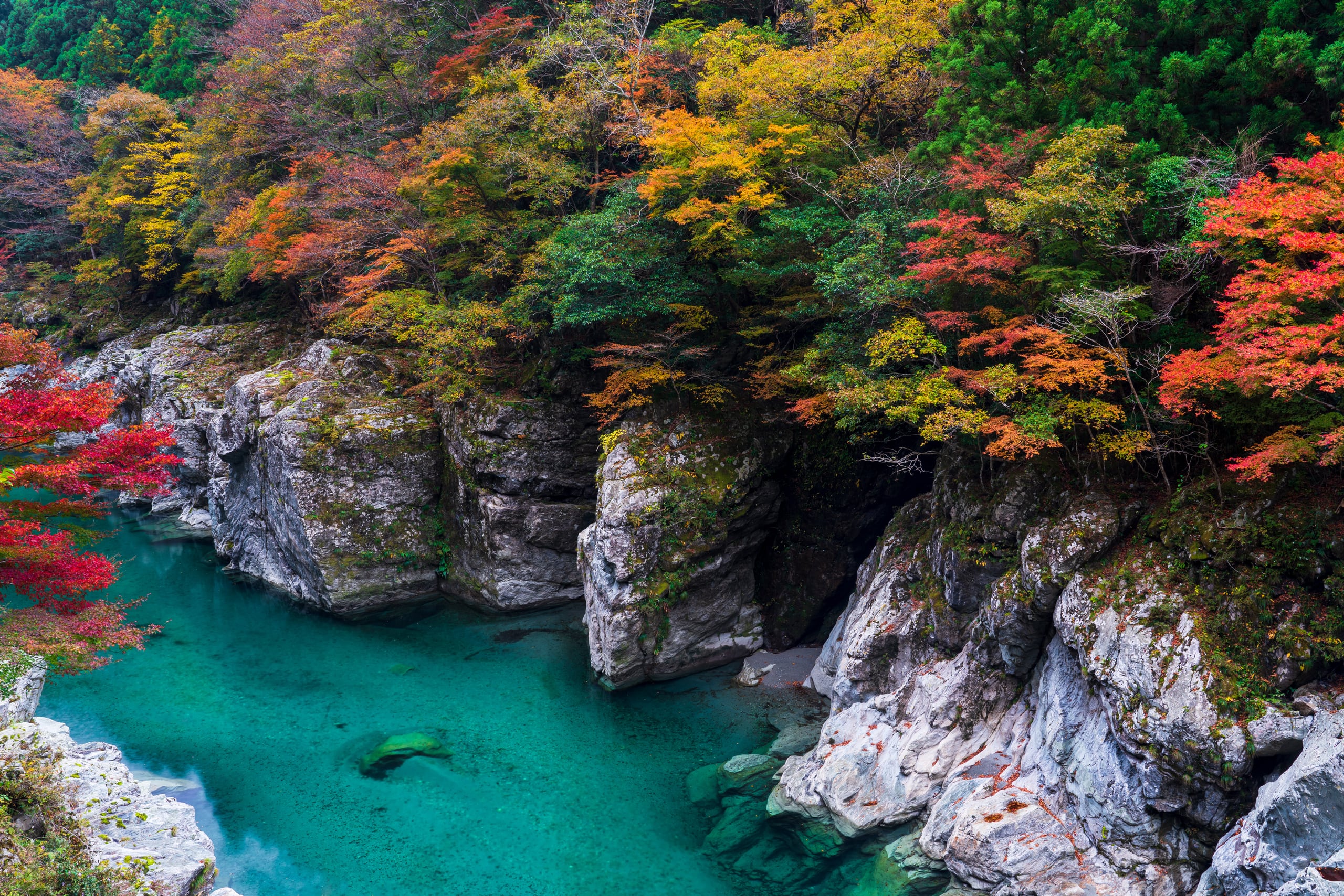 An emerald river winding between pale rock cliffs in the Oboke Gorge, Iya Valley