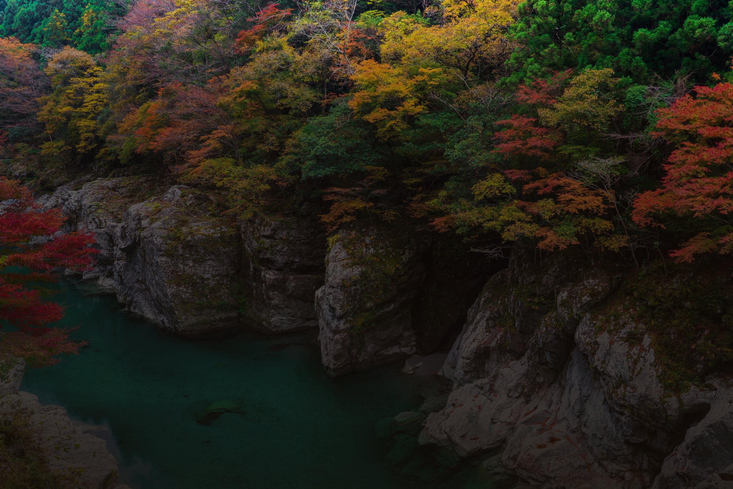 An emerald river winding between pale rock cliffs in the Oboke Gorge, Iya Valley
