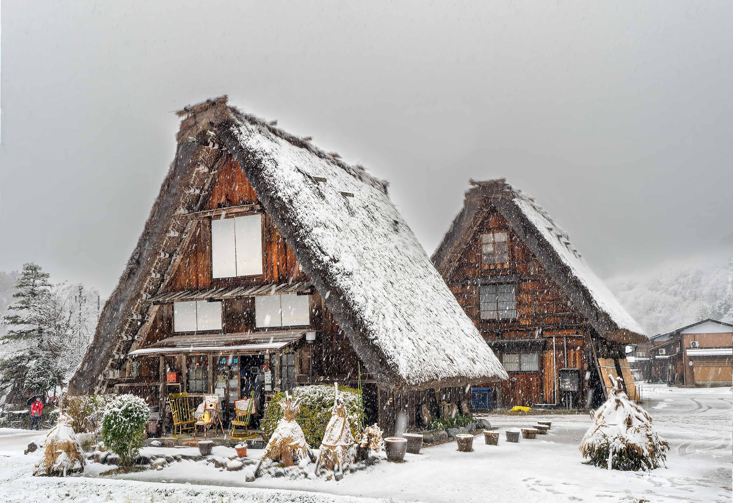 Two large gassho-zukuri farmhouses with steep snow-covered thatched roofs