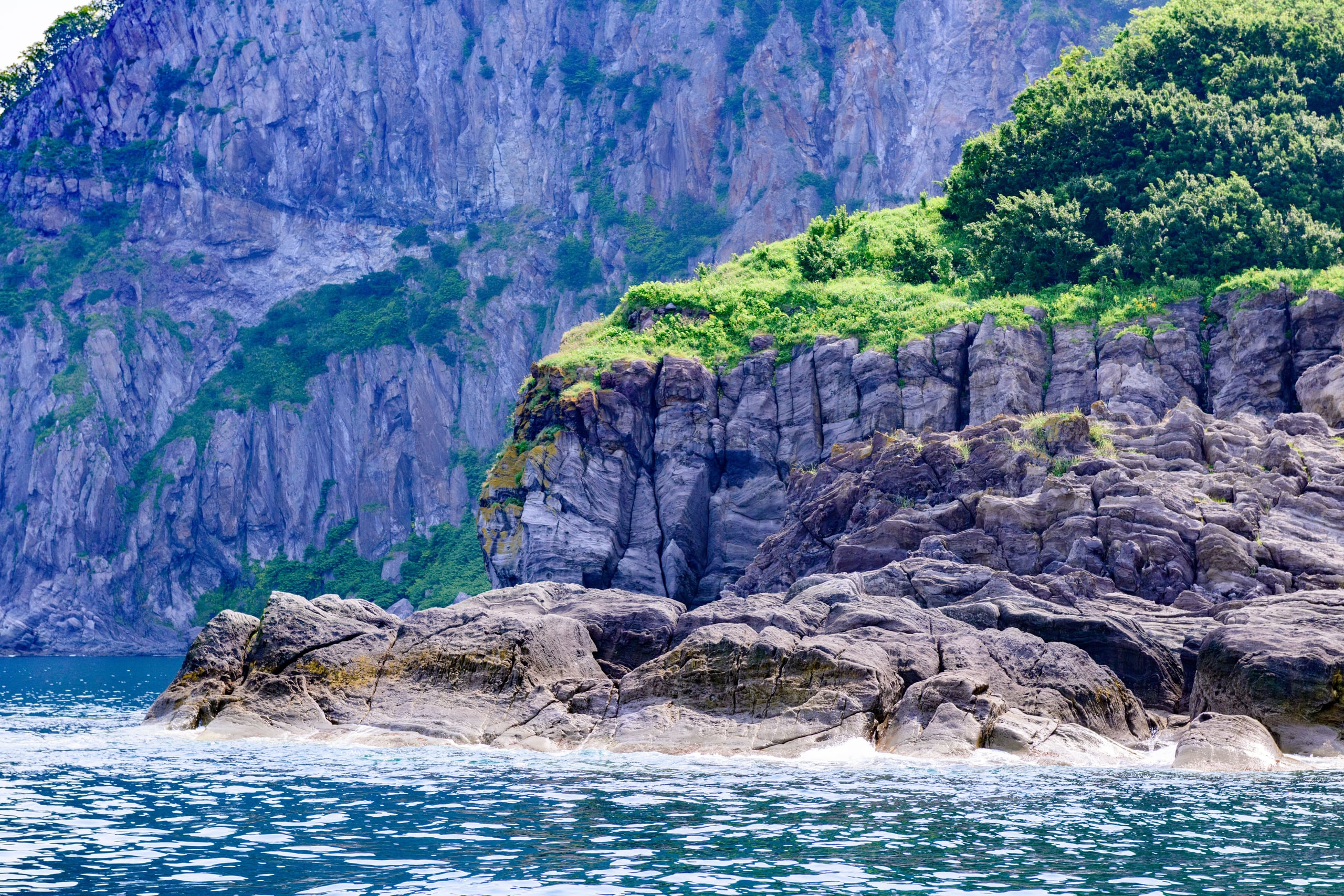 Layered volcanic sea cliffs hung with green vegetation, seen from the water on the Shiretoko coast