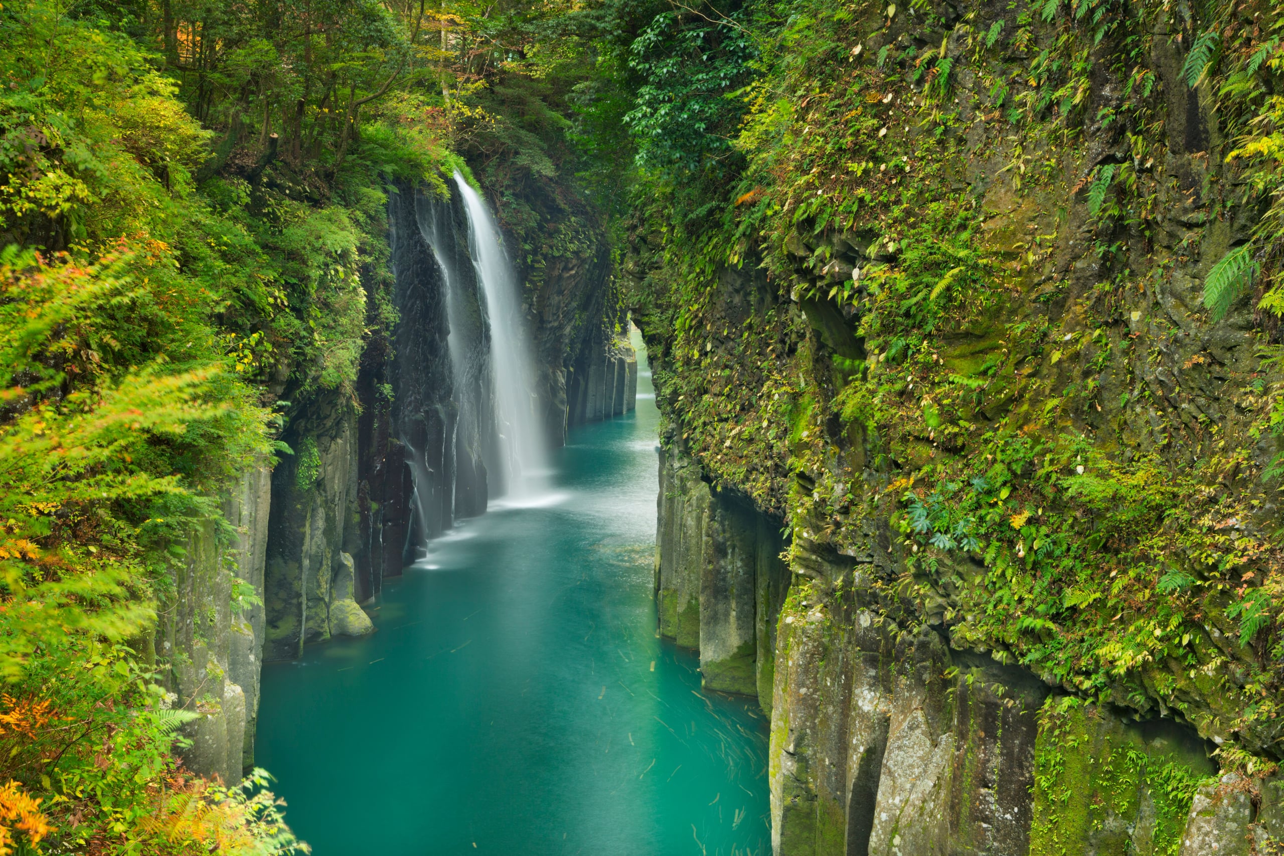 Manai Falls pouring into a turquoise river within a narrow gorge of basalt columns, Takachiho