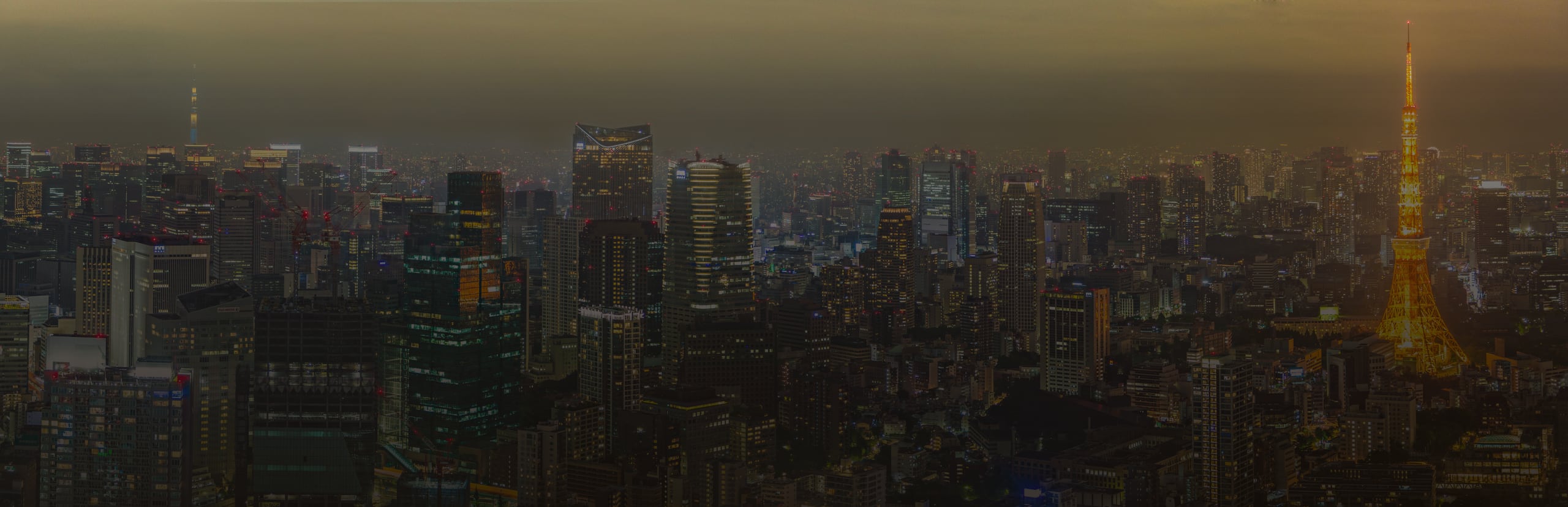 The towers of Tokyo lit at night beneath a low, glowing sky